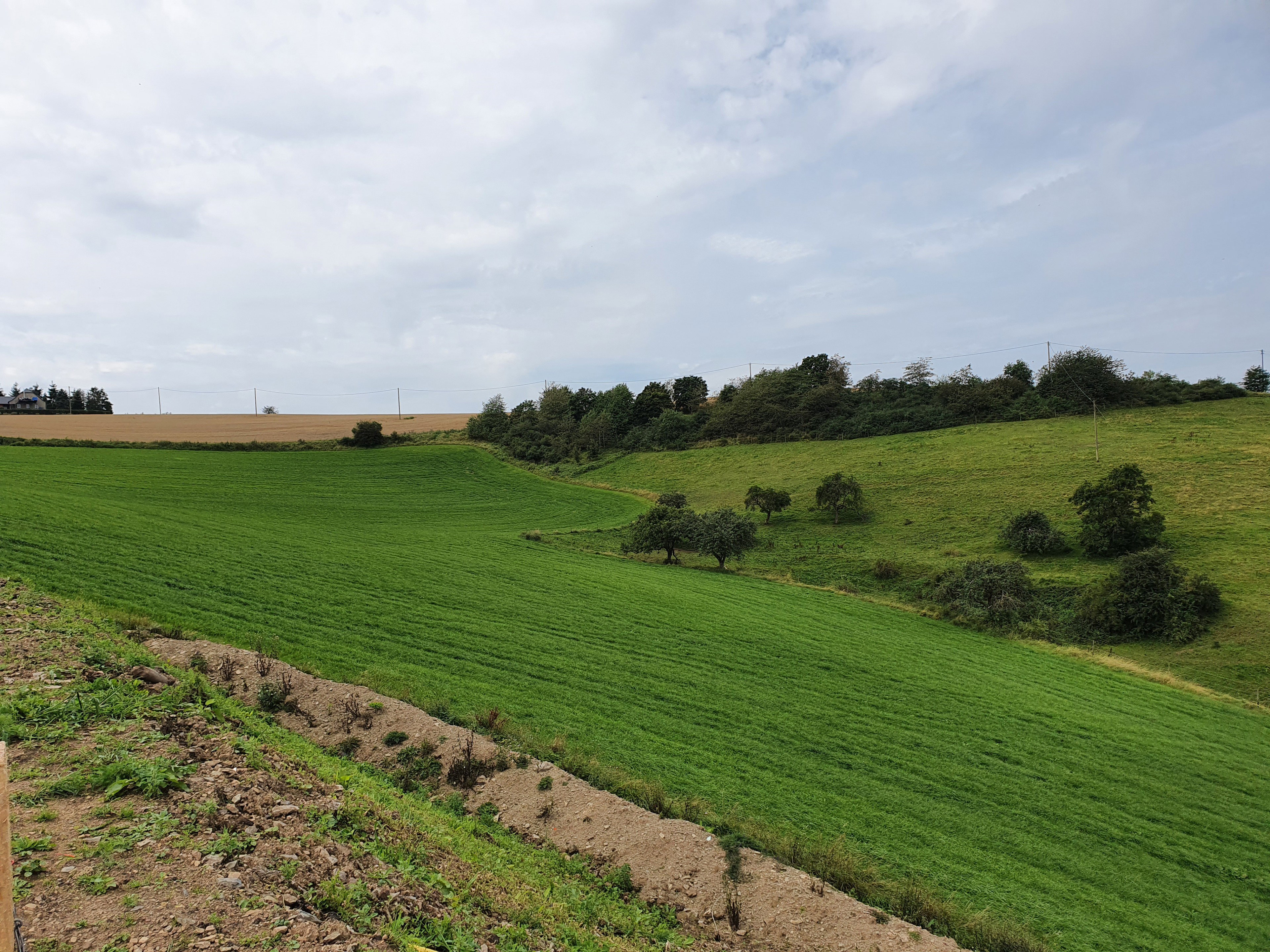 Natuurhuisje in Neuerburg