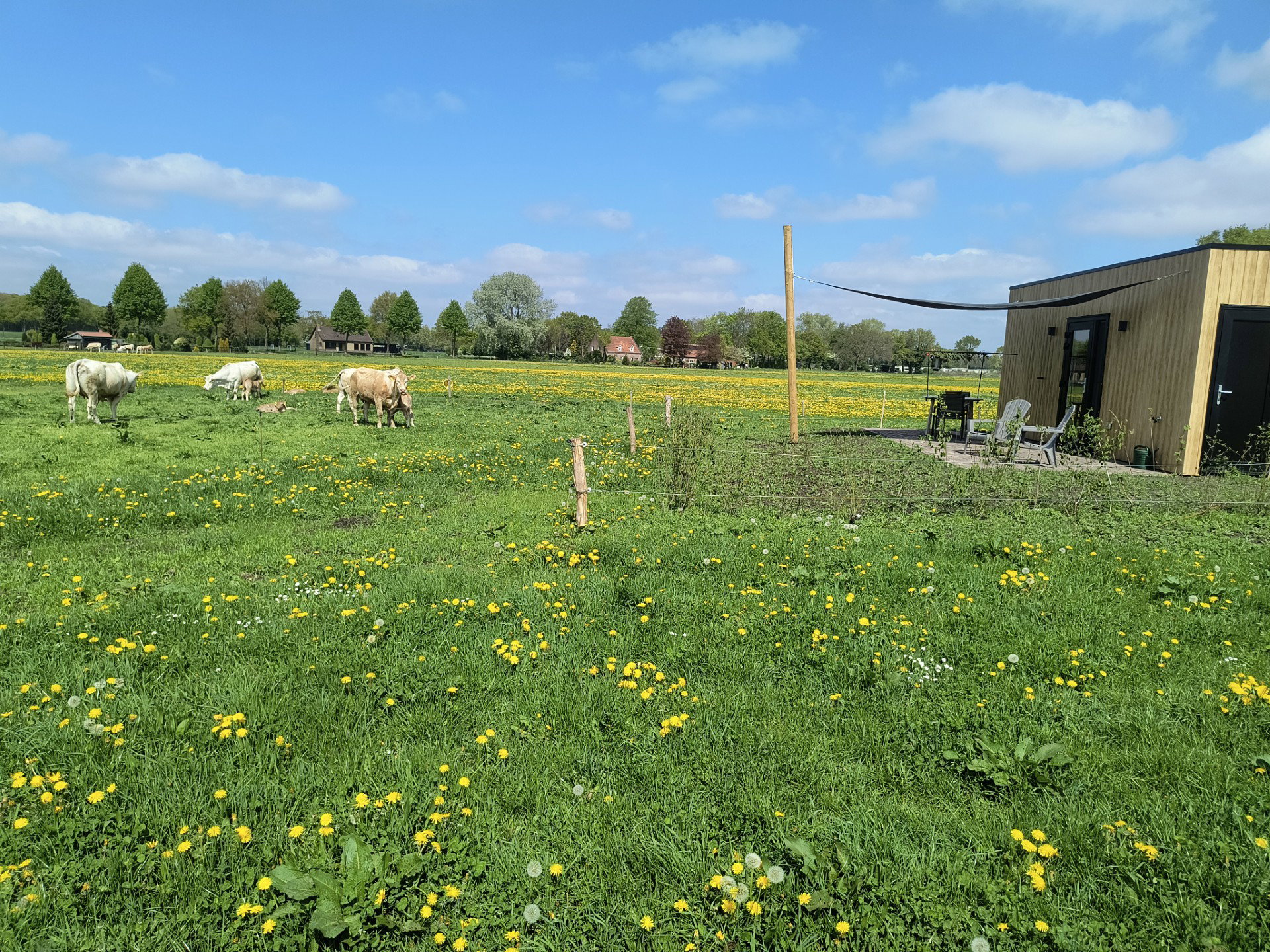 Naturhäuschen in Schijf