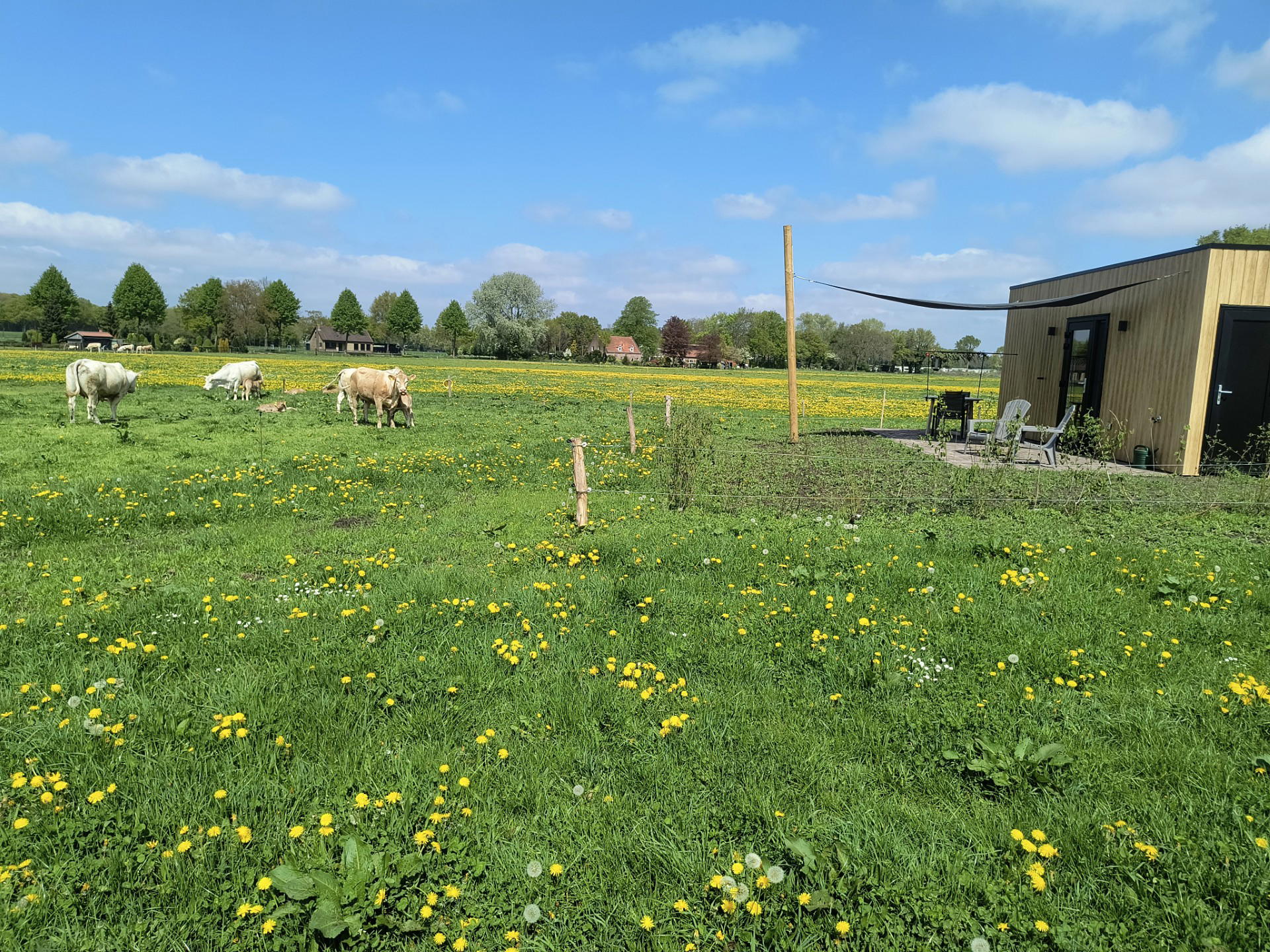 Maison nature à Schijf