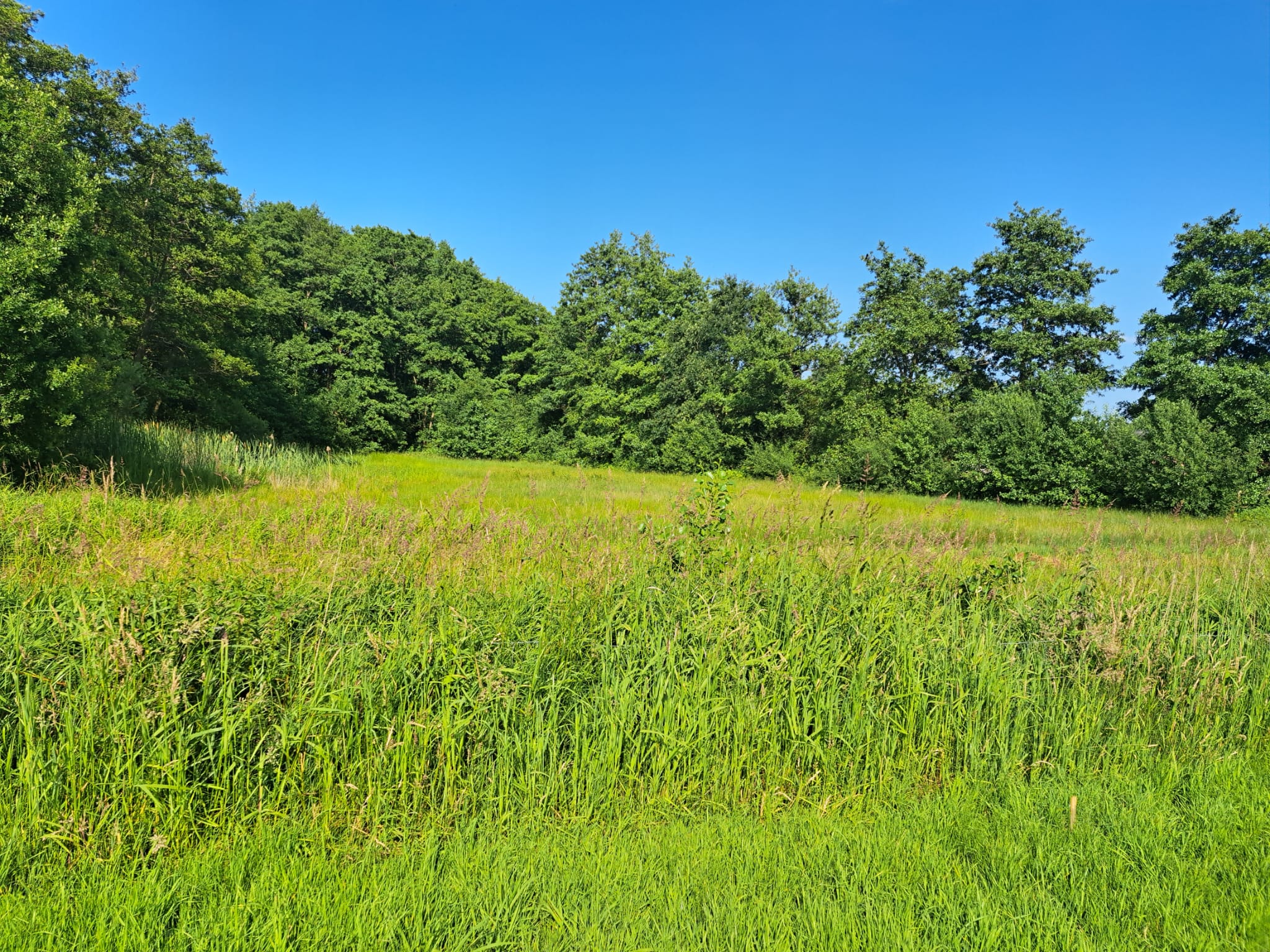 - image: 14