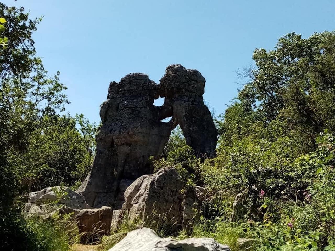- image: 22