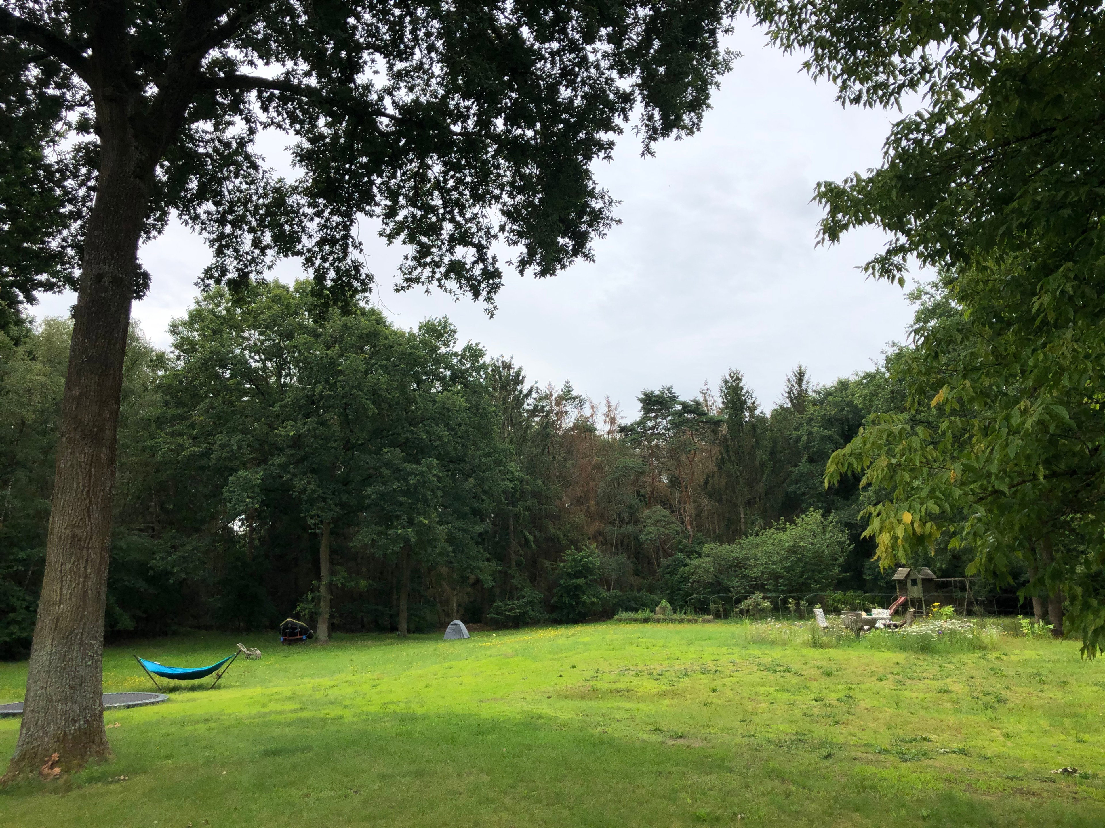 Natuurhuisje in Bolderberg