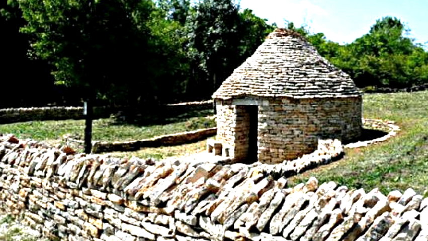 - image: 23