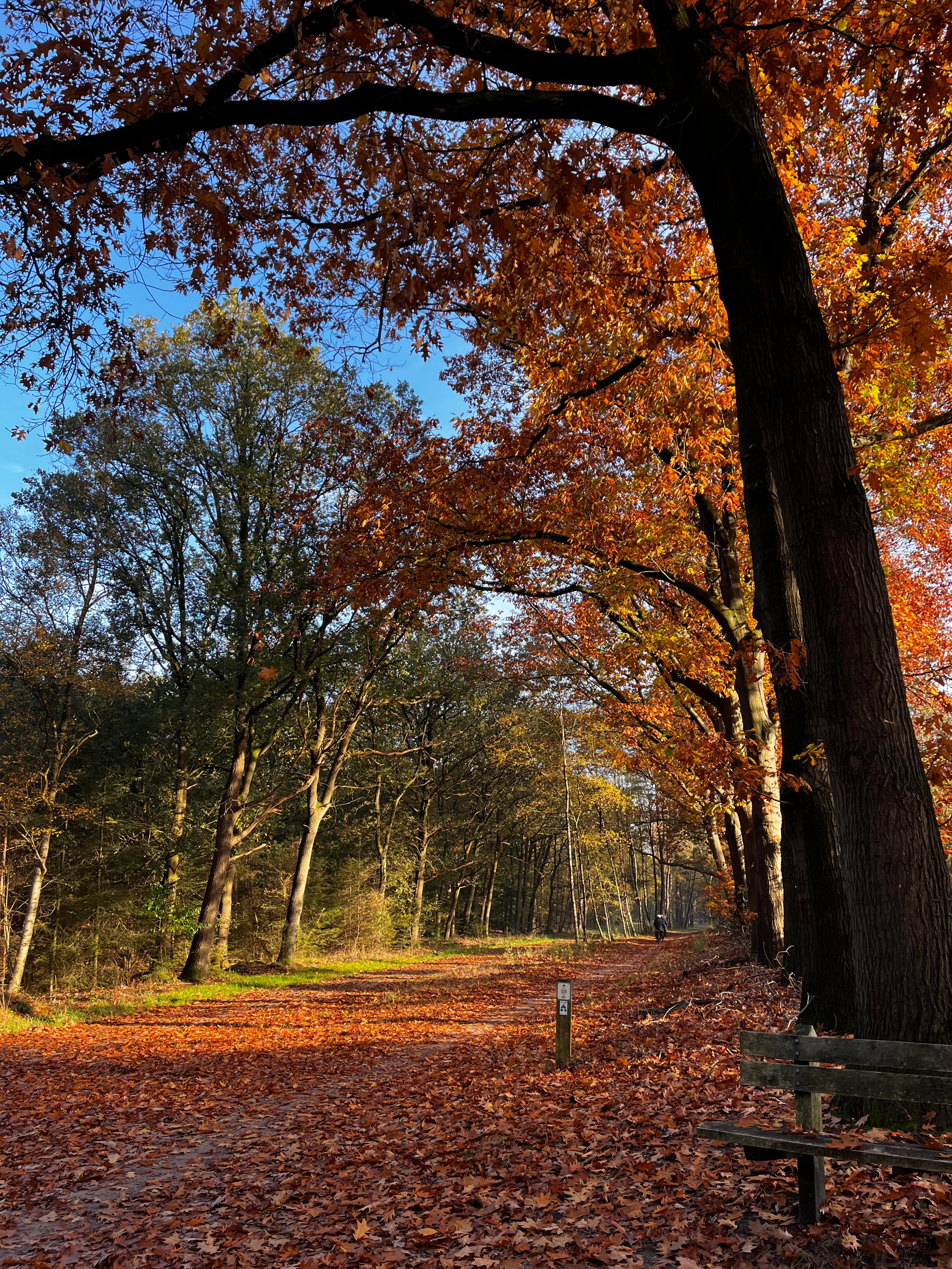 Natuurhuisje in Haarle