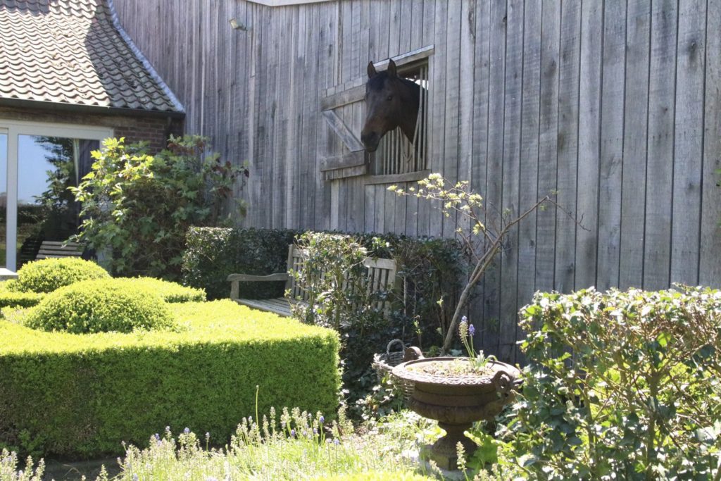 Natuurhuisje in Bree
