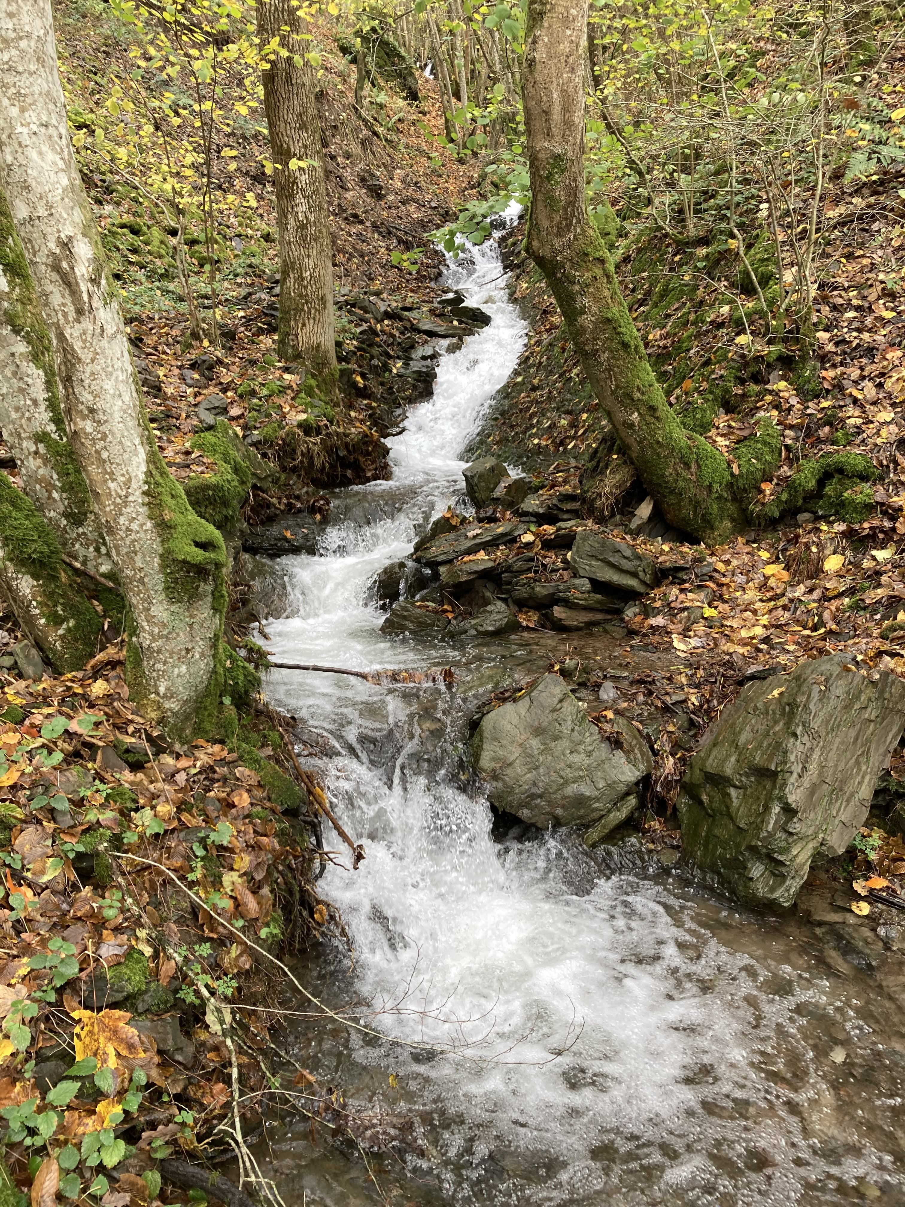 Natuurhuisje in Gemünd