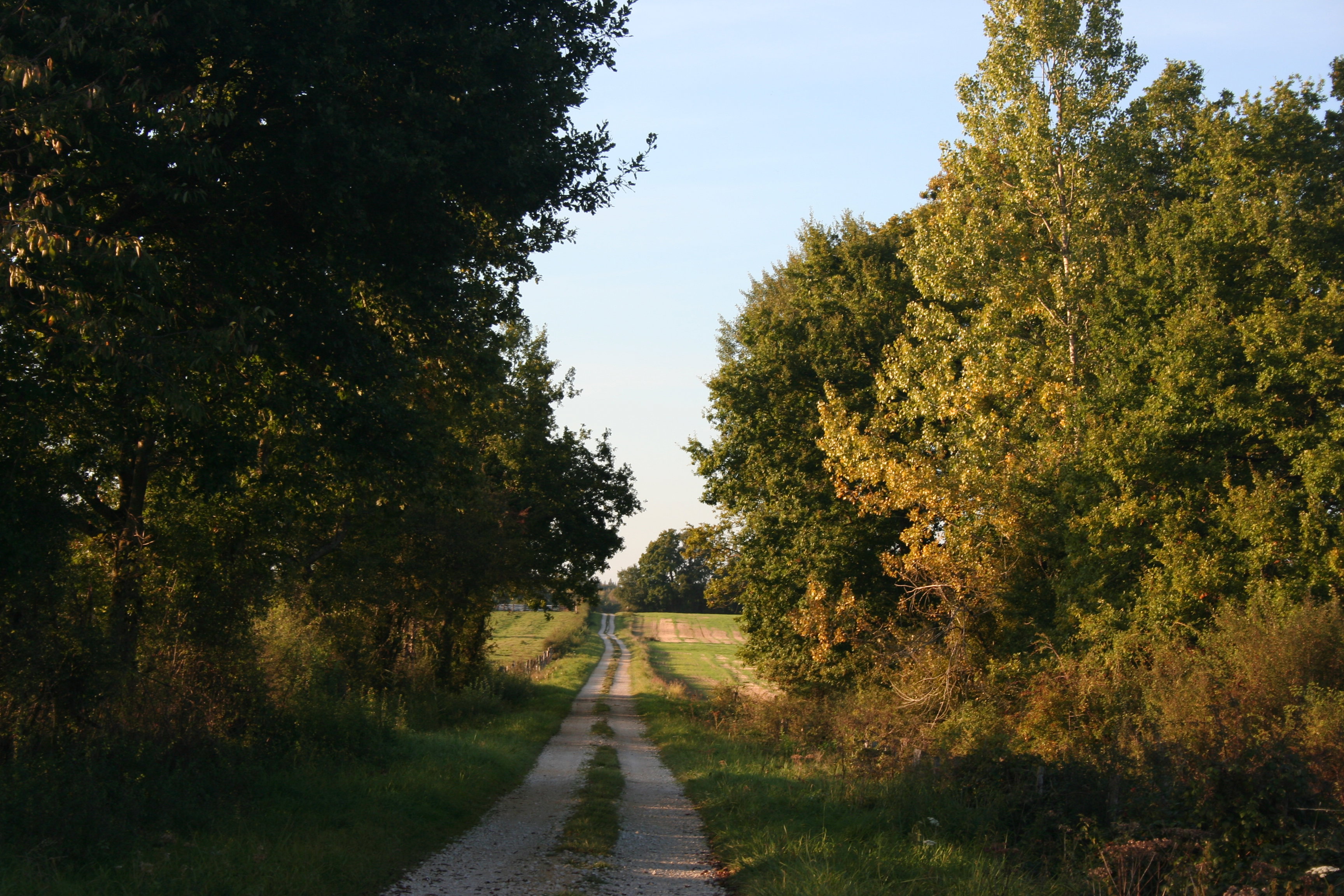 - image: 17