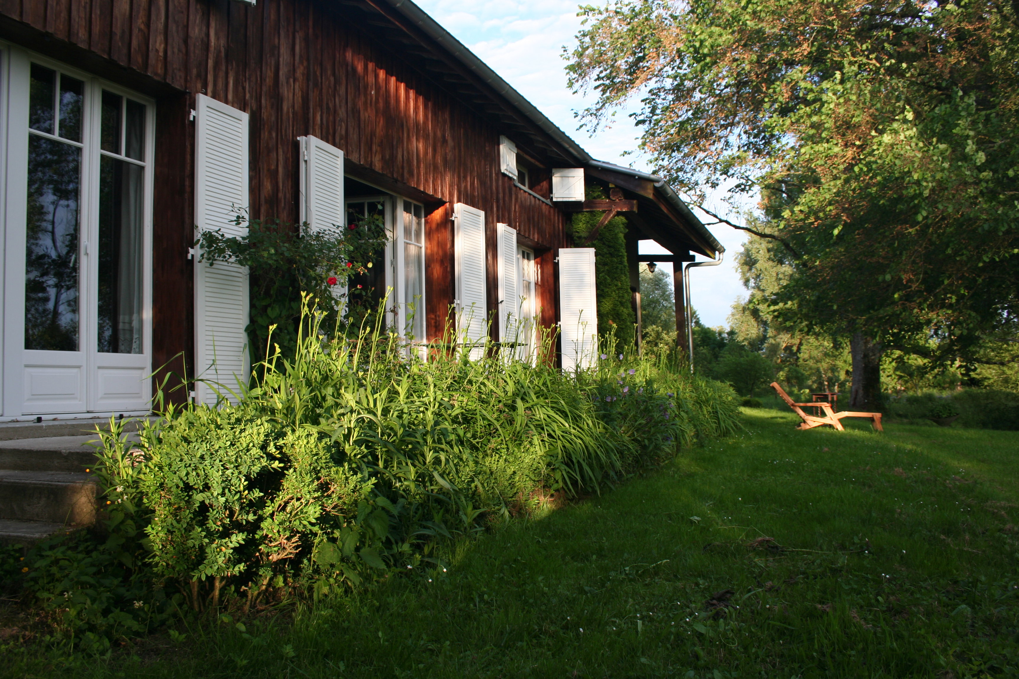- image: 11