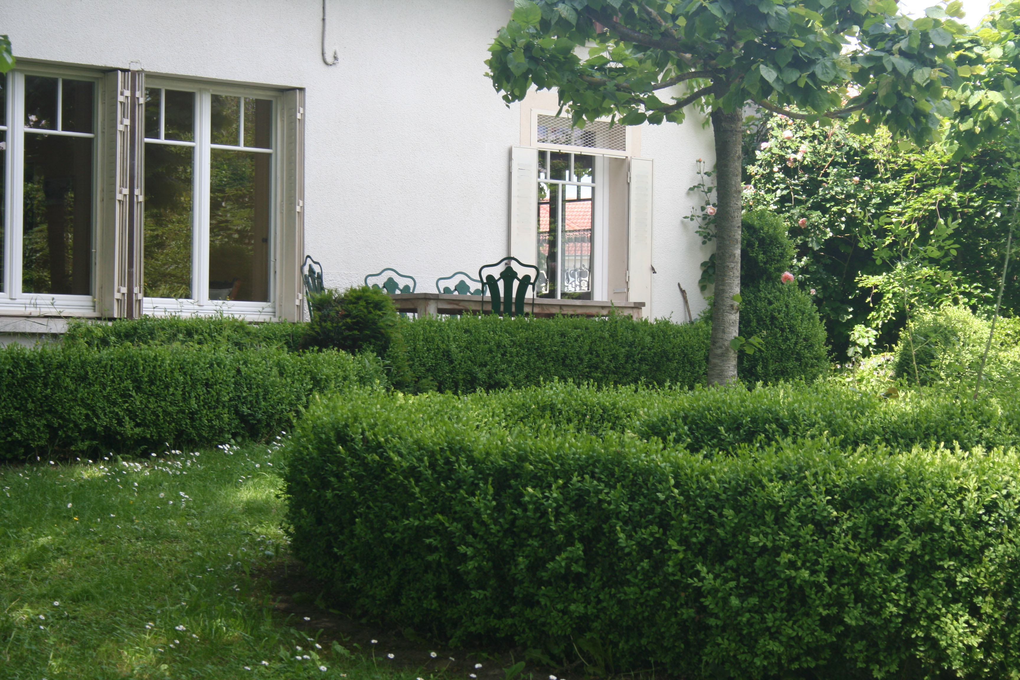 - image: 13