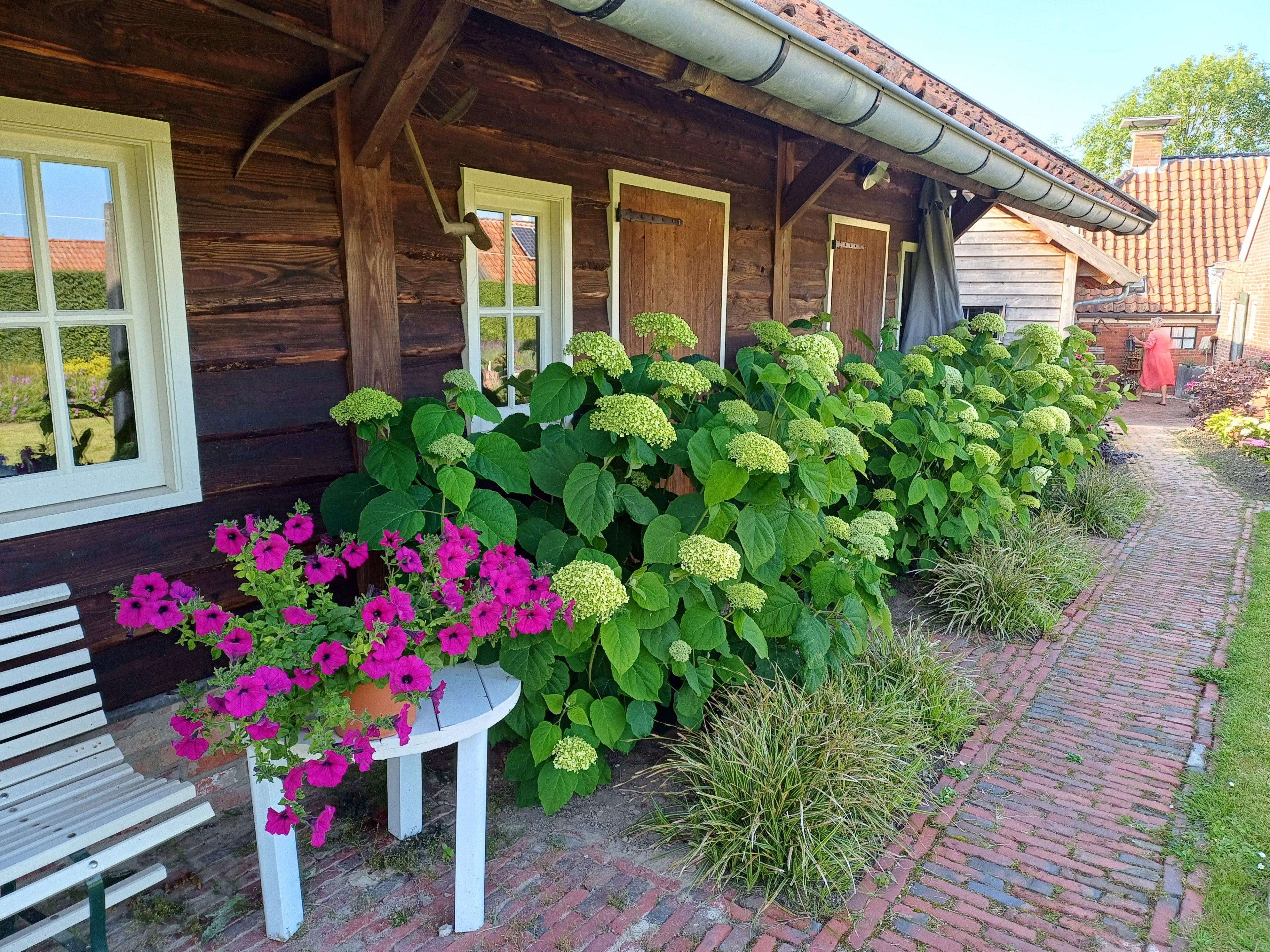 Natuurhuisje in Uithuizermeeden