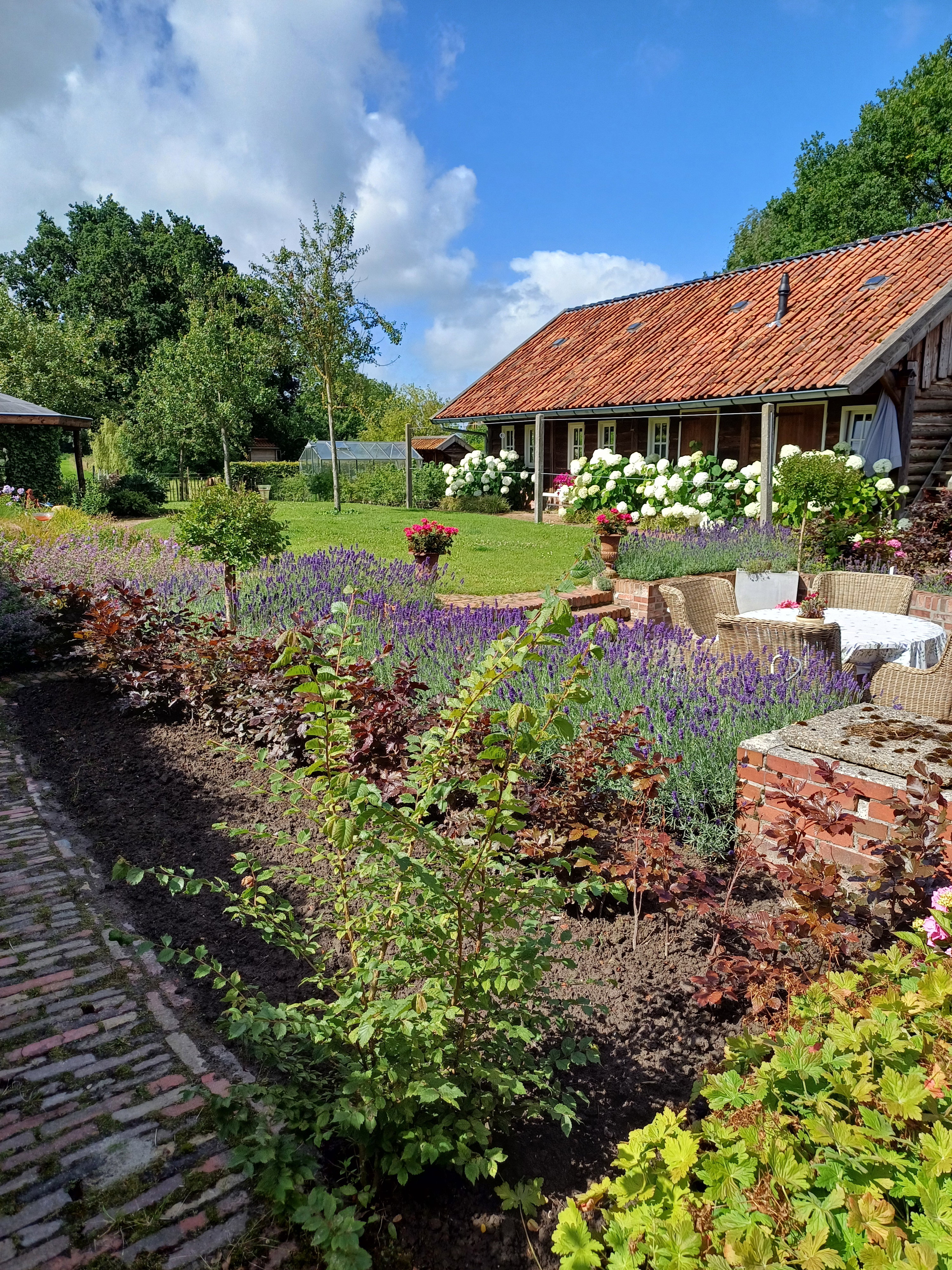 Natuurhuisje in Uithuizermeeden