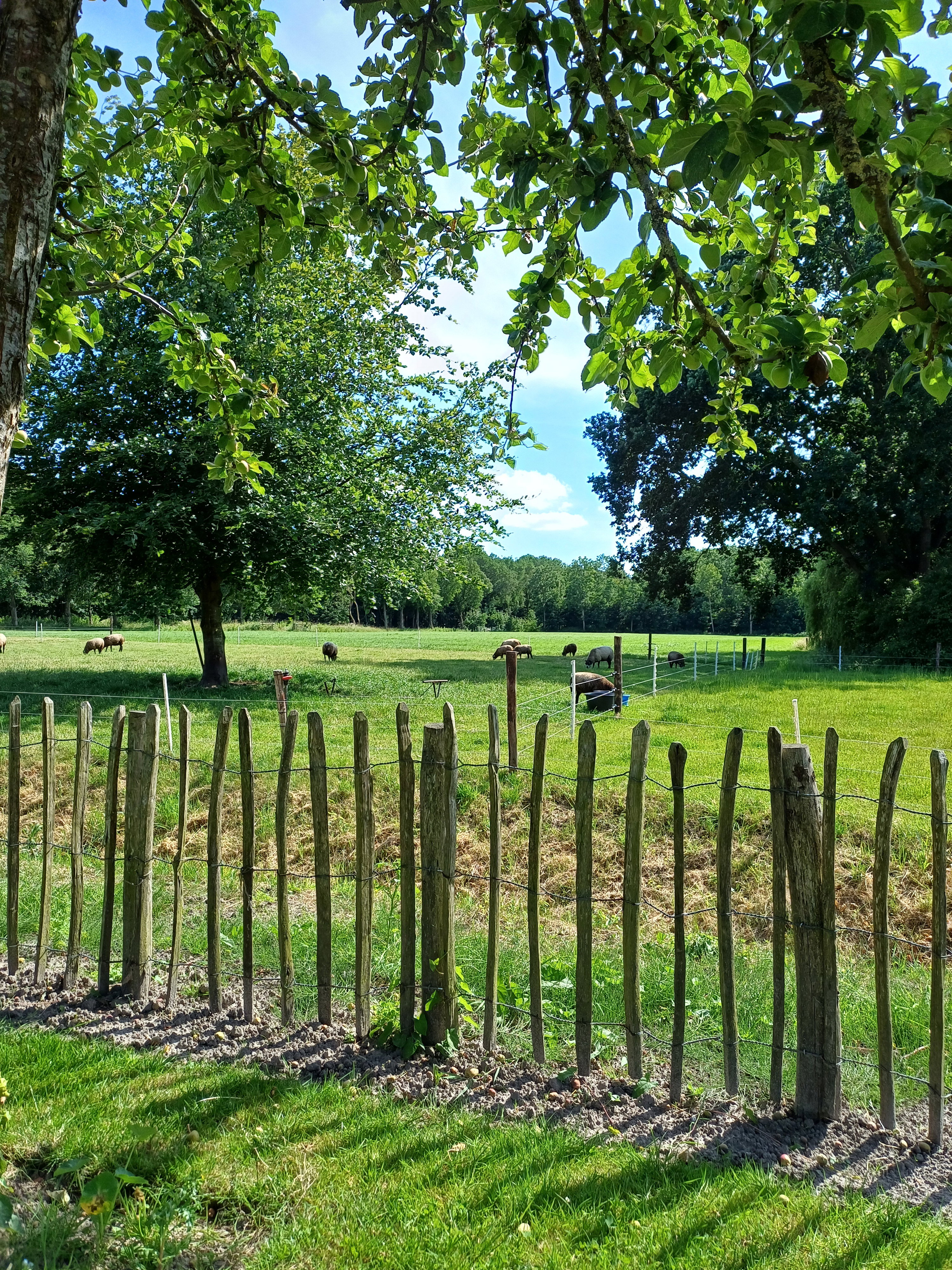 Natuurhuisje in Uithuizermeeden