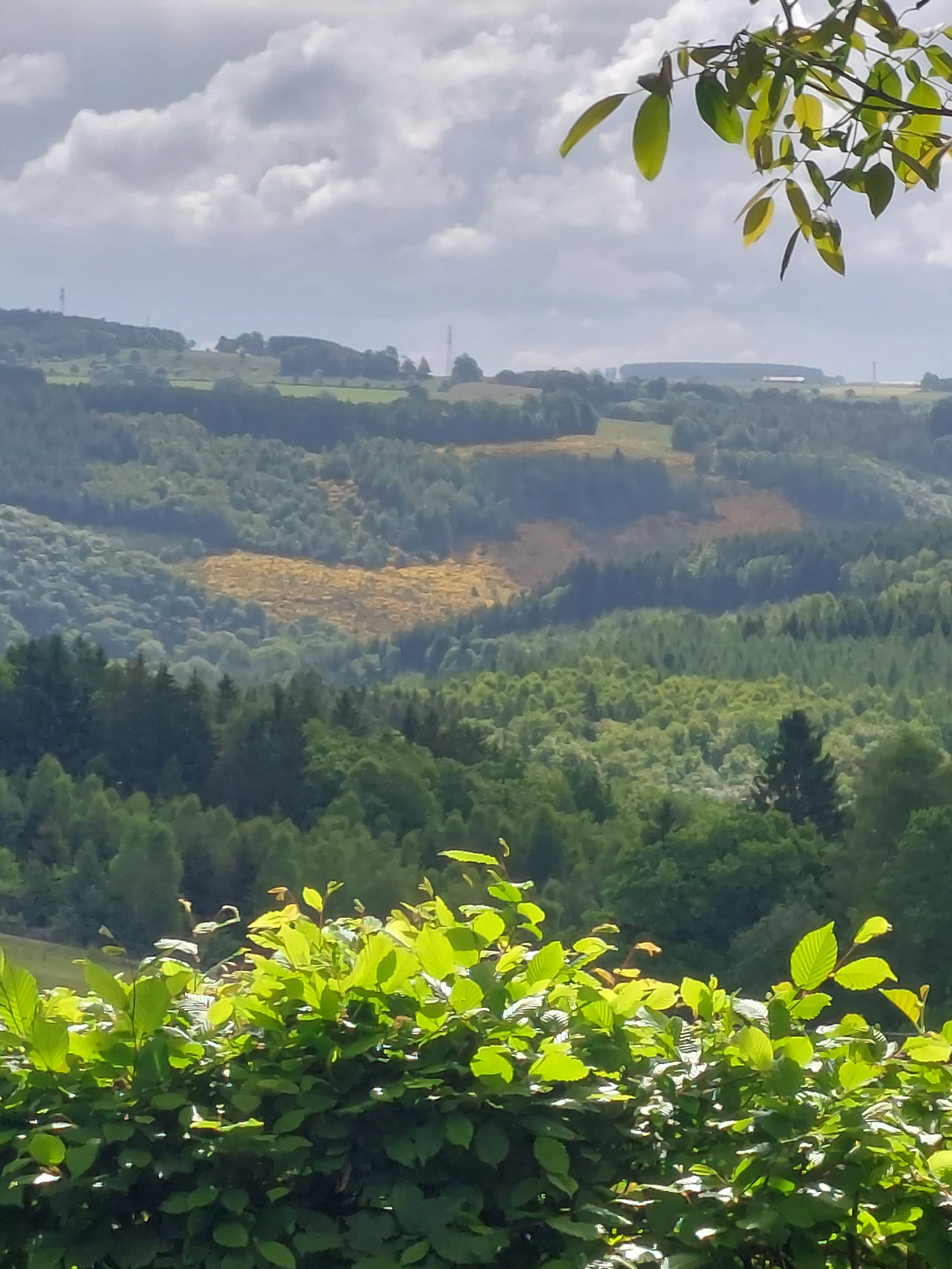 Casa nella natura a La Roche en ardenne
