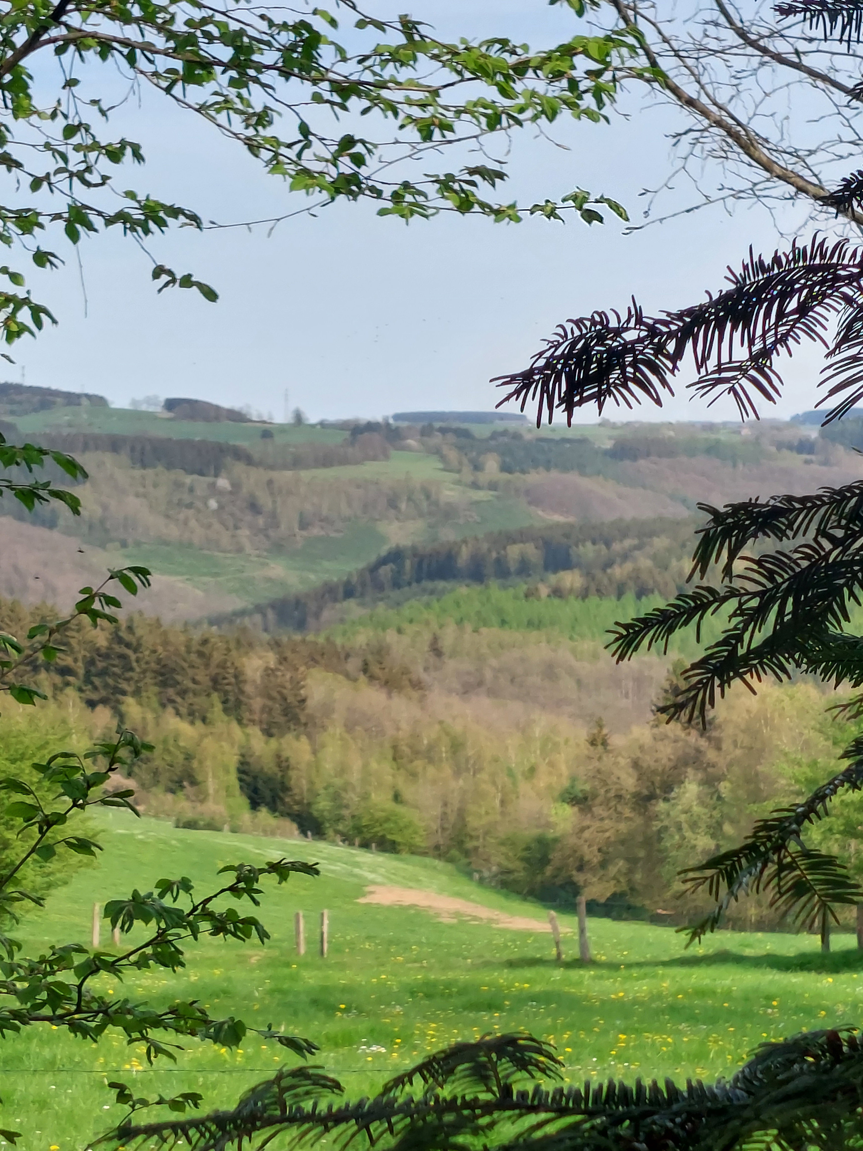 Natuurhuisje in La Roche en ardenne