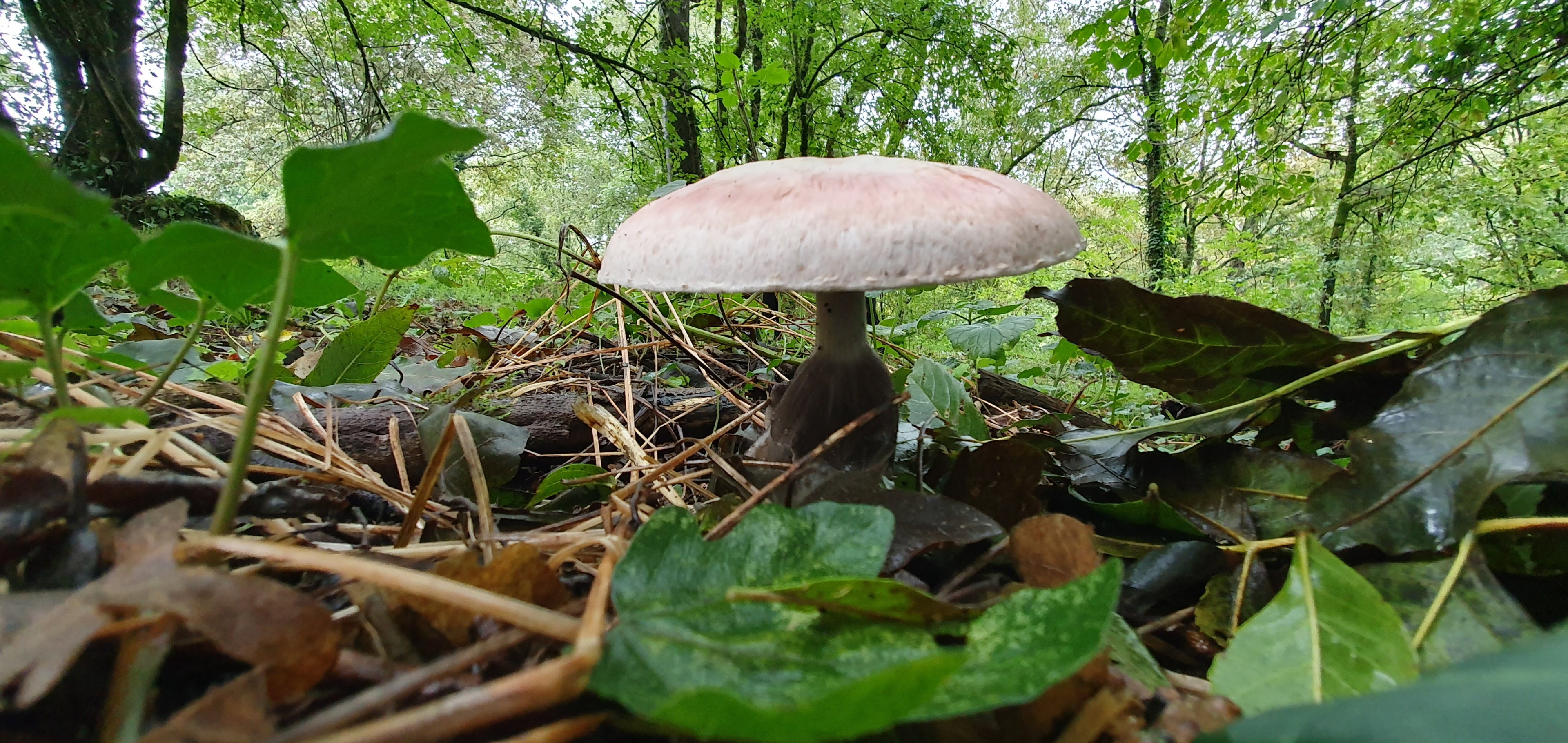 Casa nella natura a Prissac