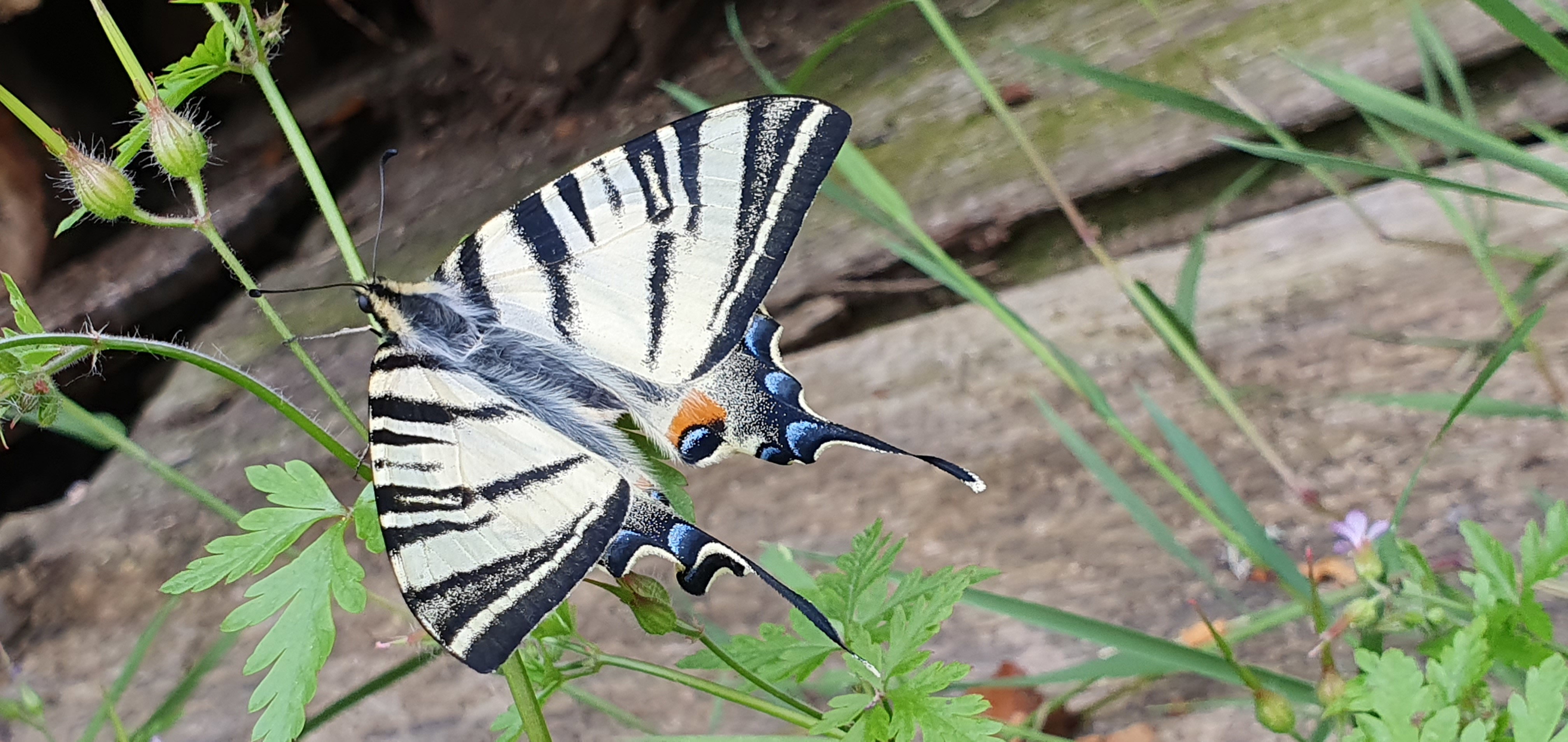 Casa nella natura a Prissac