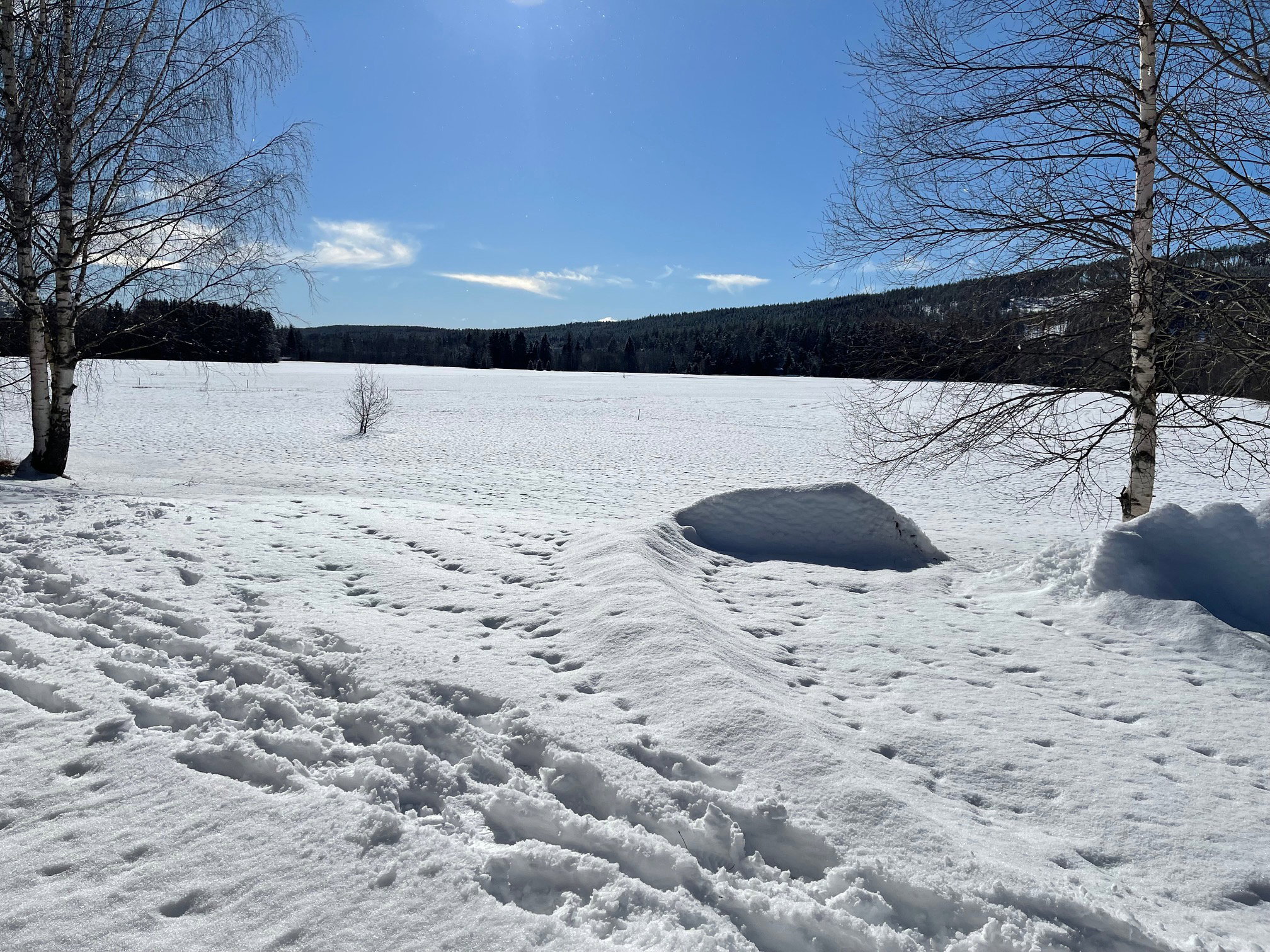 Casa nella natura a Ekshärad