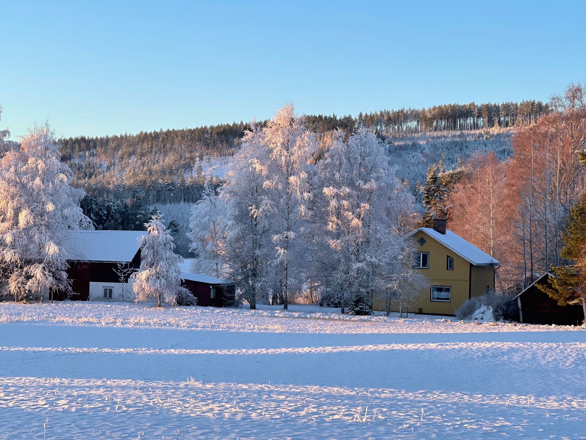 Casa nella natura a Ekshärad