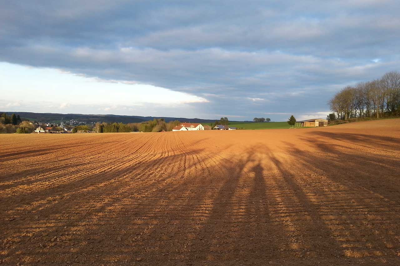Natuurhuisje in Lissendorf