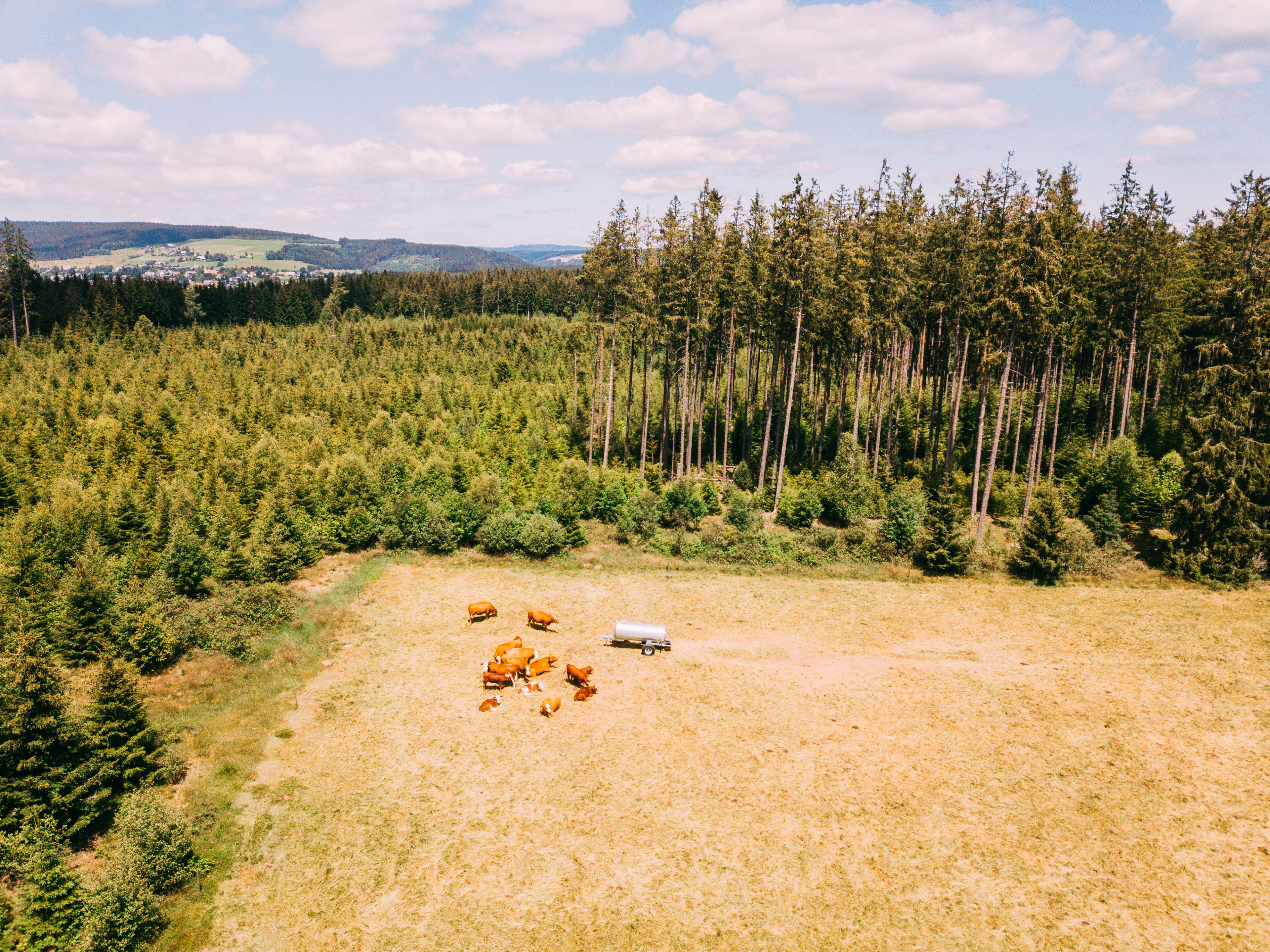 Natuurhuisje in Lenzkirch