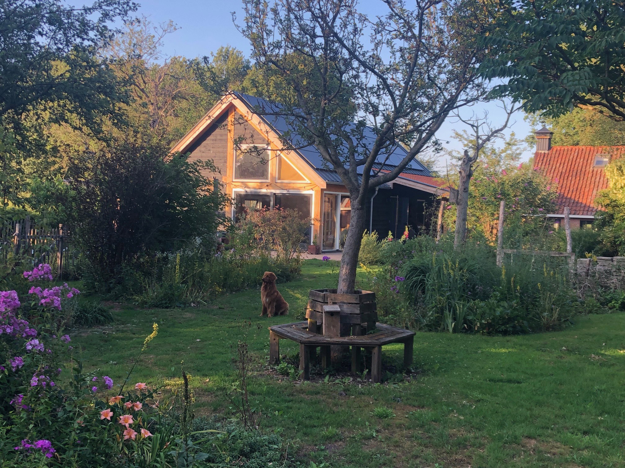 Natuurhuisje in Paasloo