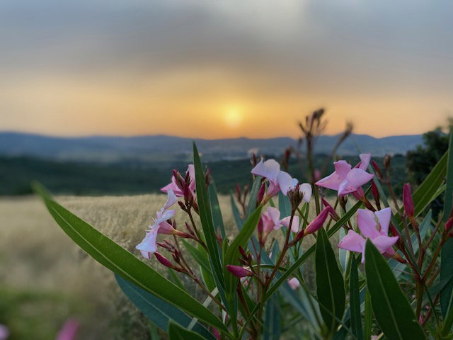 Nature house in Cibottola, Piegaro