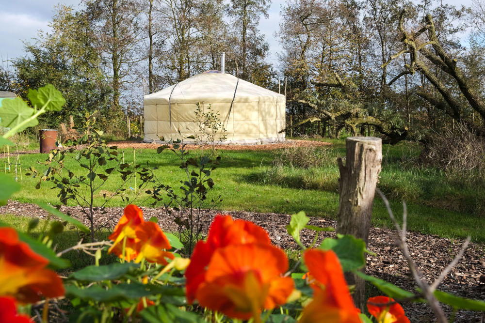 Natuurhuisje in Feanwâlden