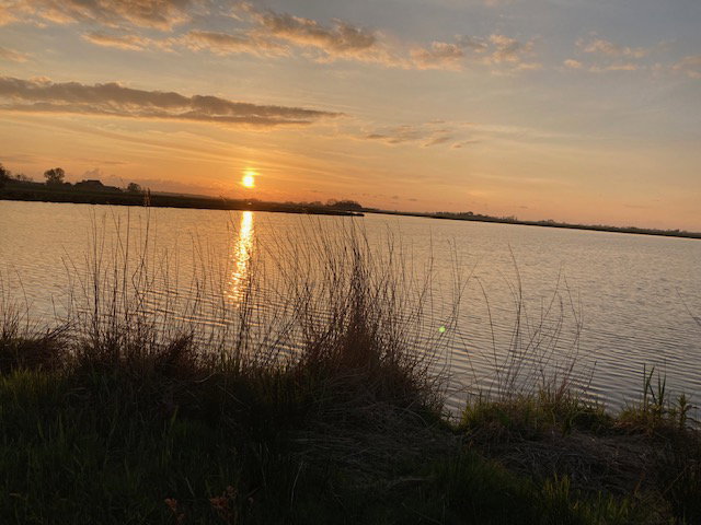 - image: 18
