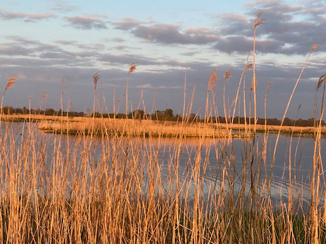 - image: 20