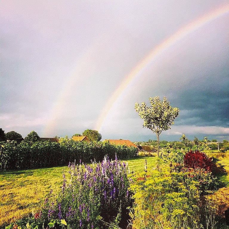 Casa nella natura a Mater