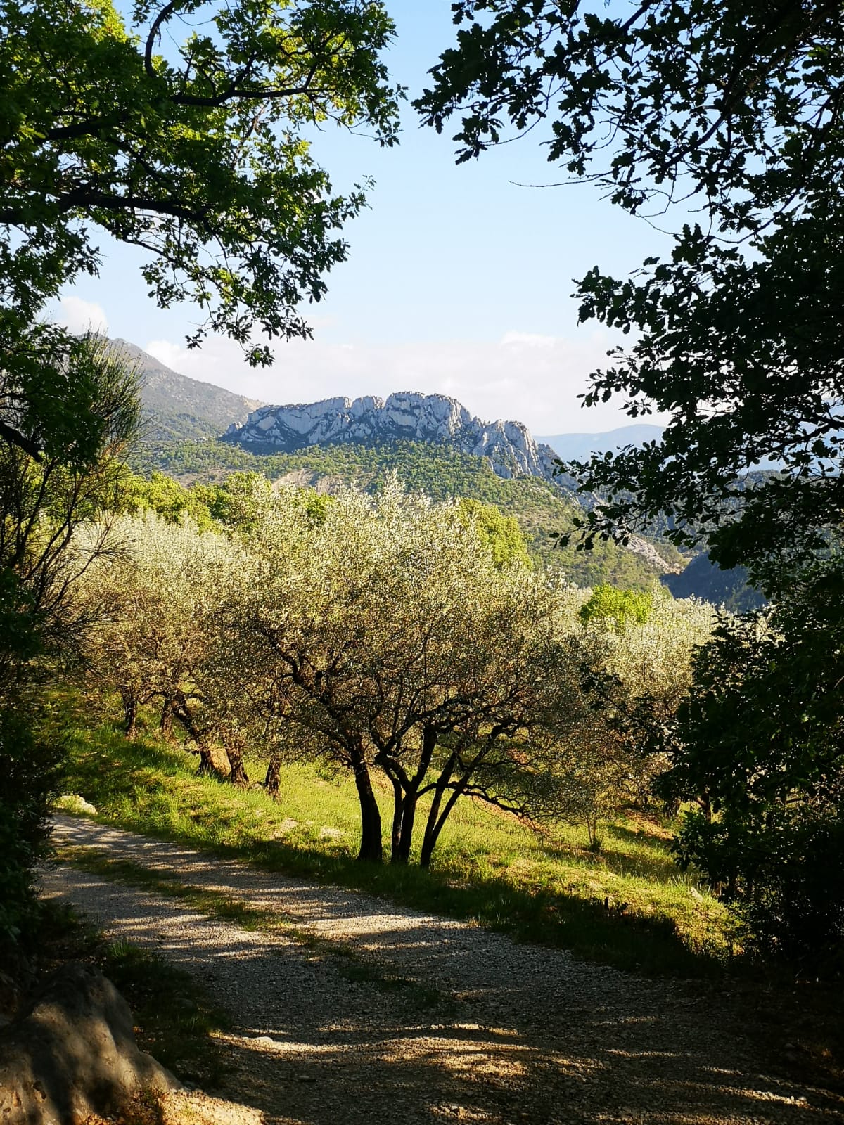 - image: 55