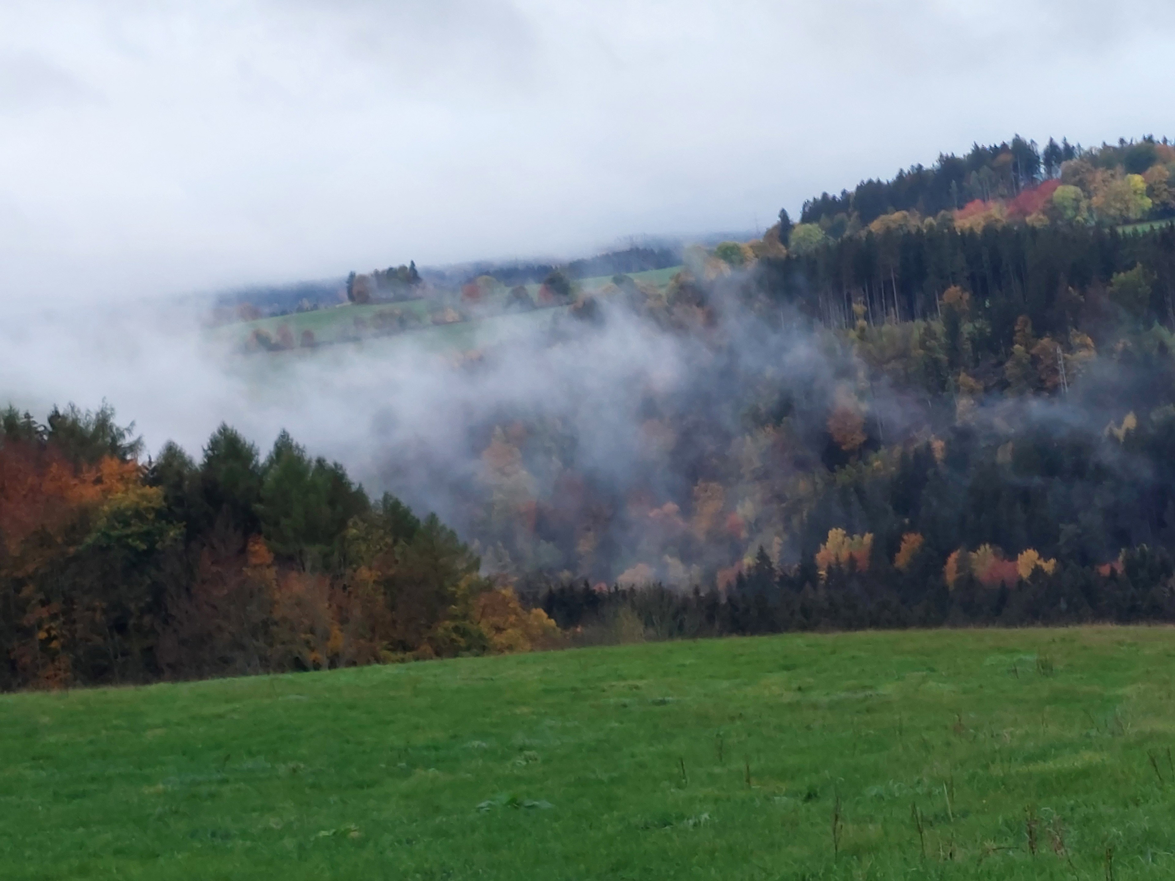 - image: 18