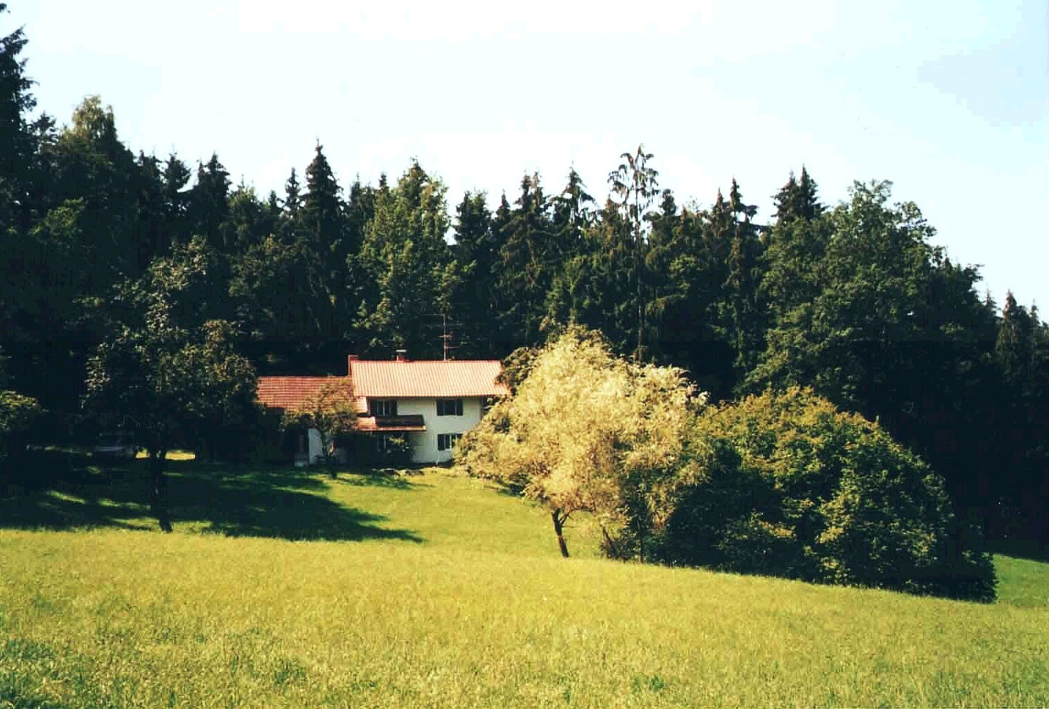 - image: 1