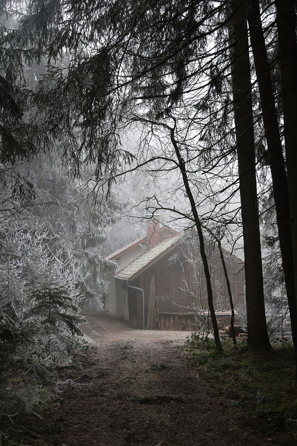 - image: 14