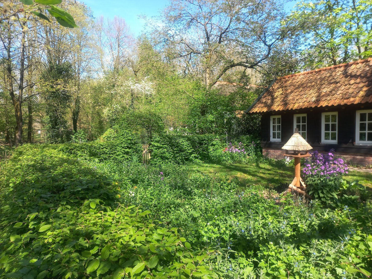 Natuurhuisje in Brucht