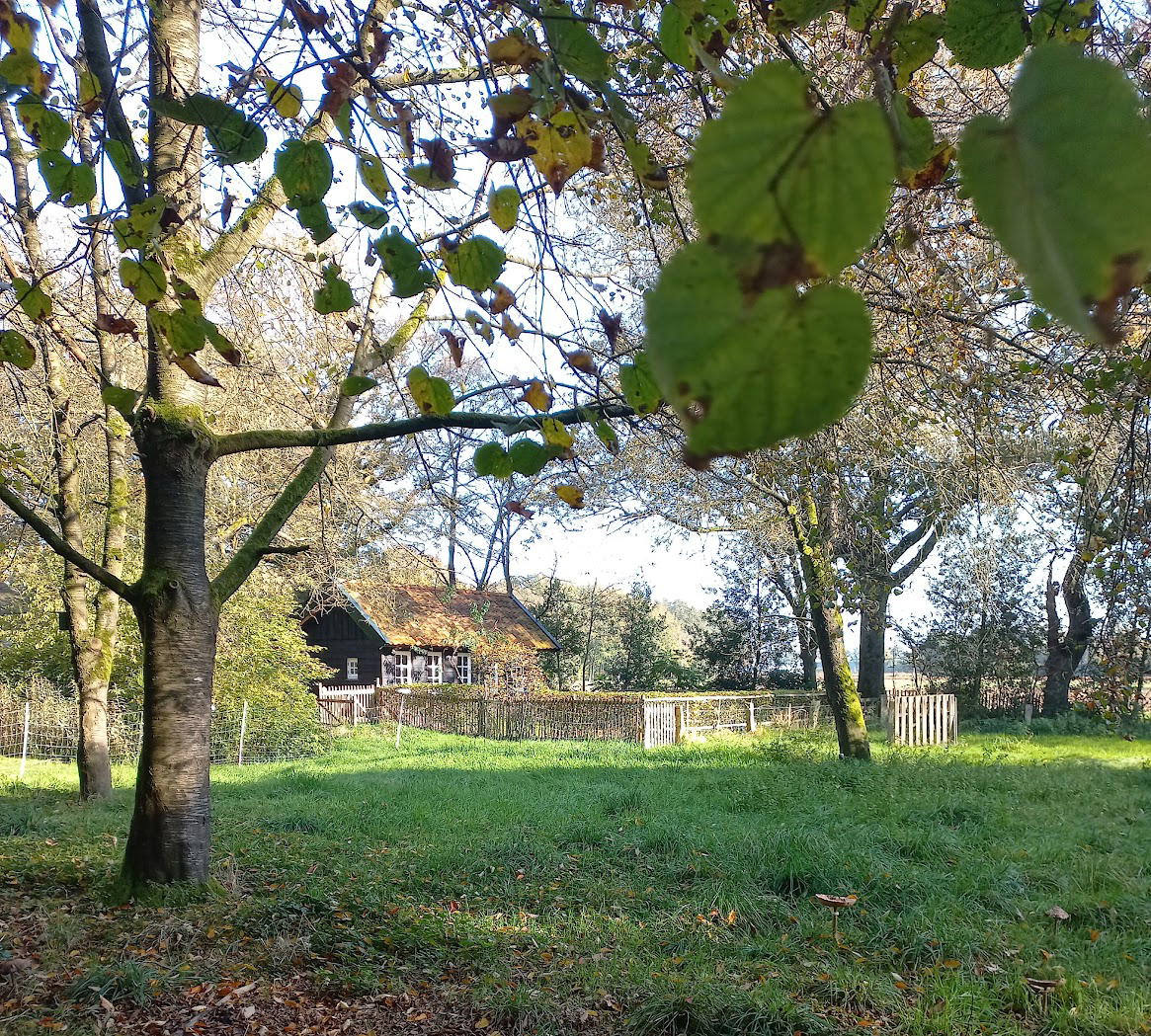 Natuurhuisje in Brucht