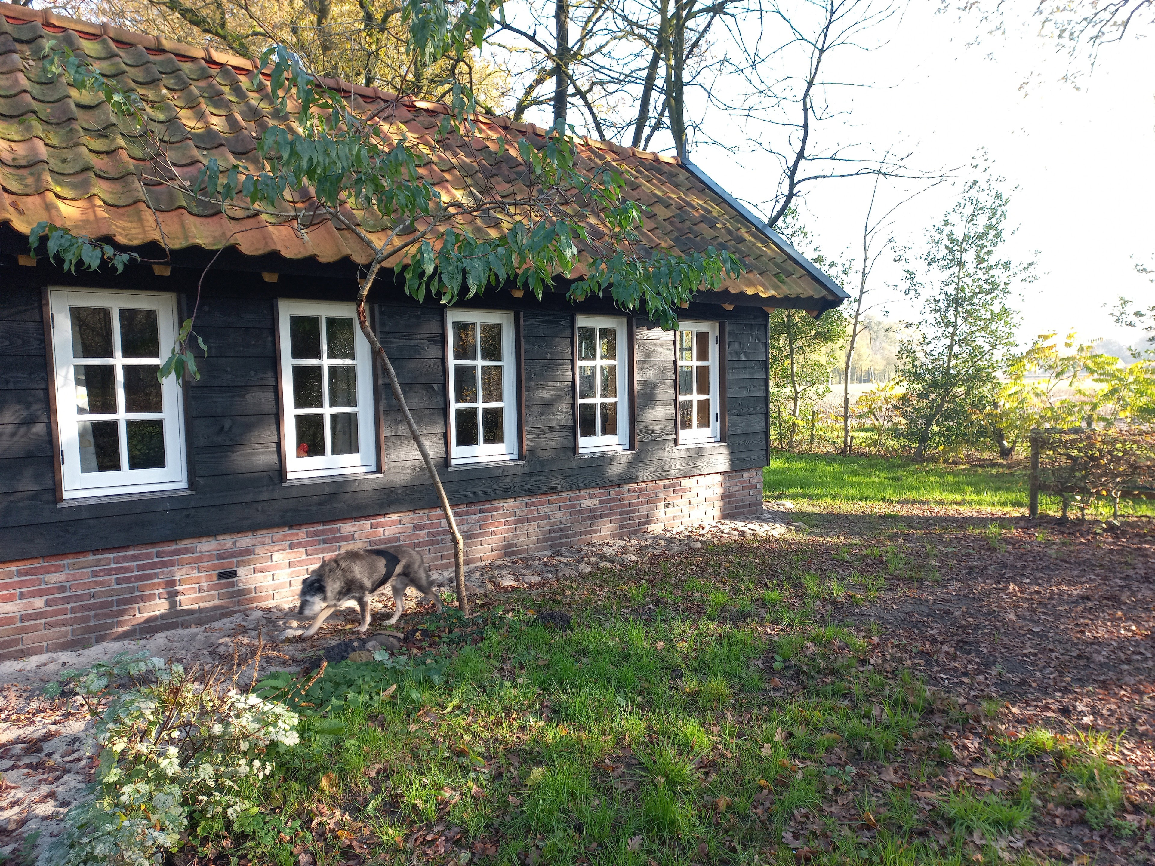 Naturhäuschen in Brucht