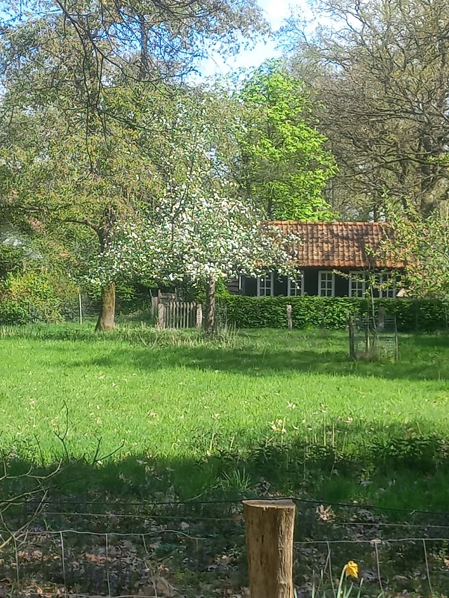 - image: 11