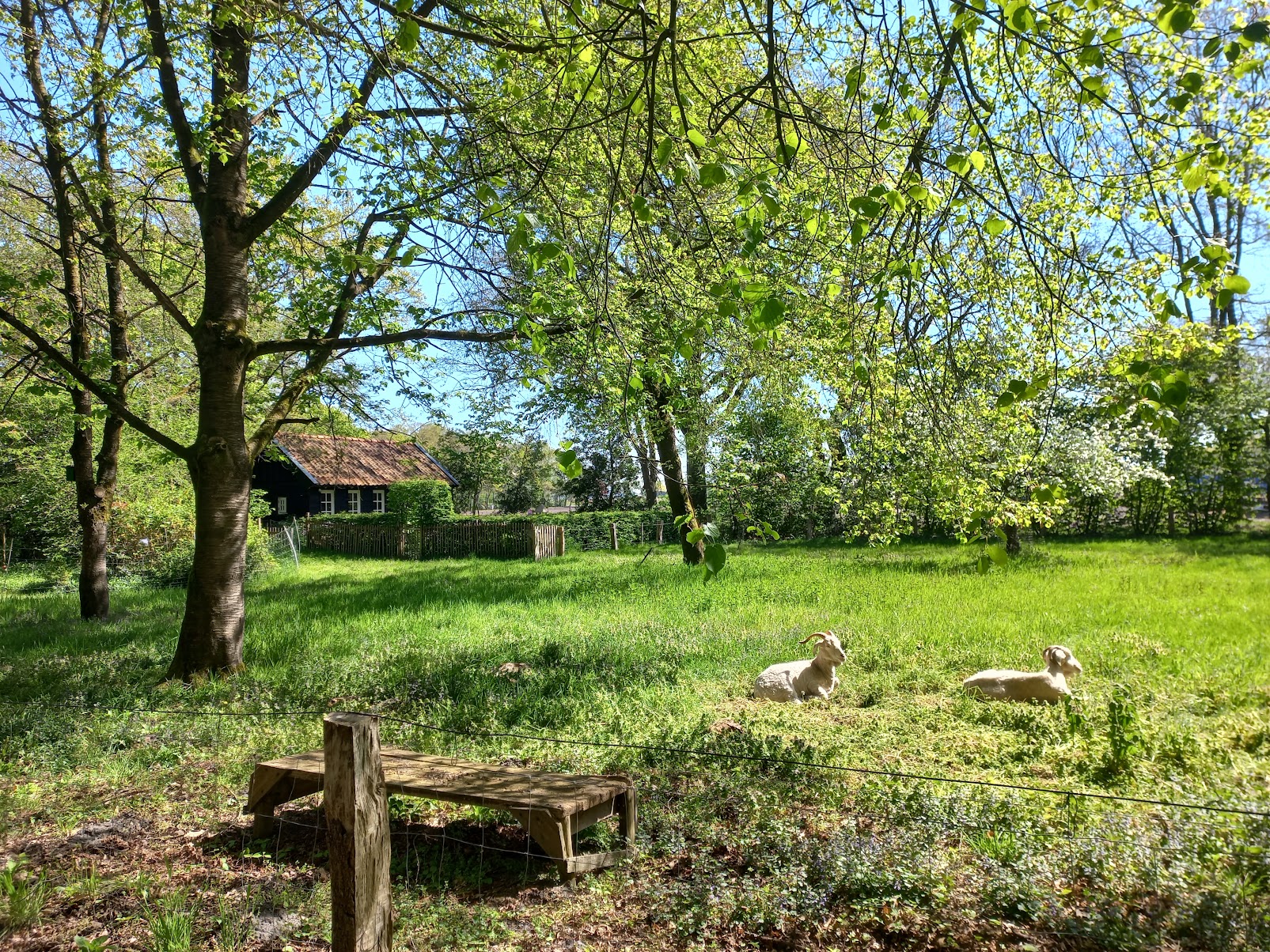 Natuurhuisje in Brucht