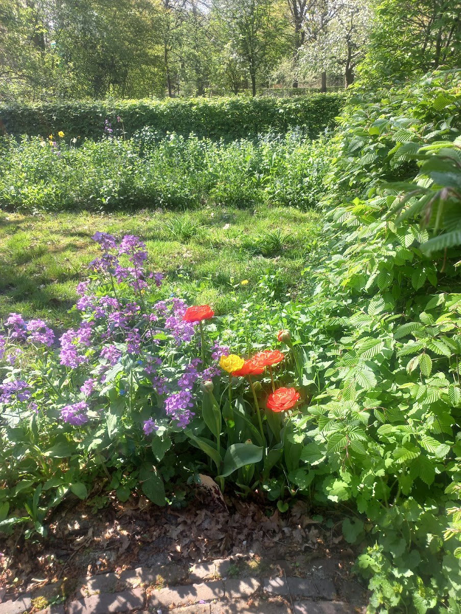 Natuurhuisje in Brucht