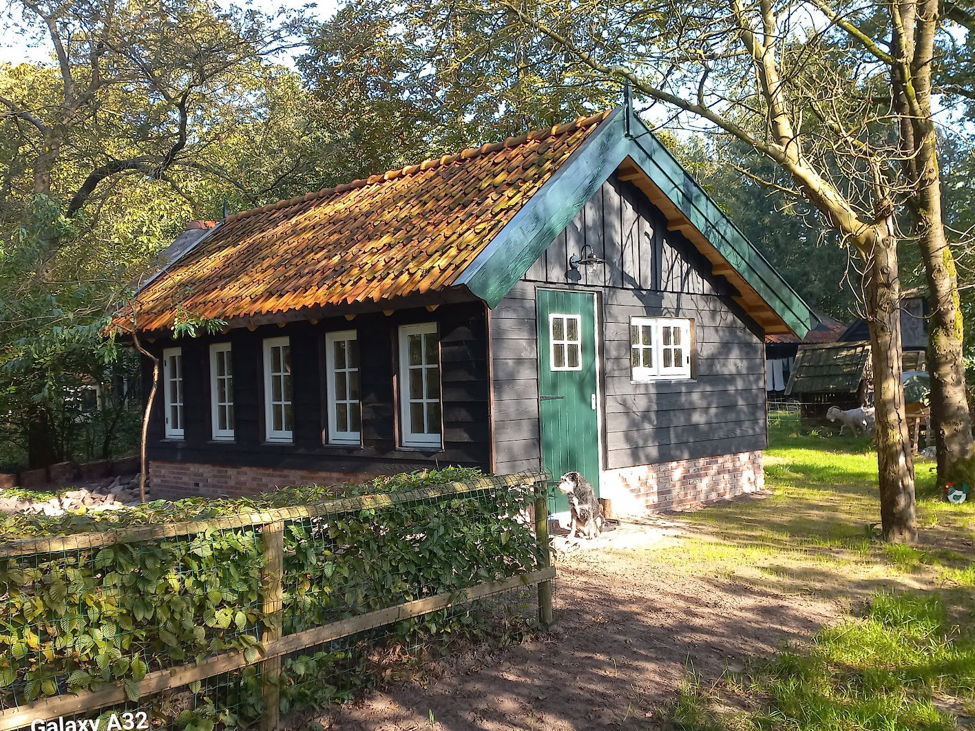 Naturhäuschen in Brucht