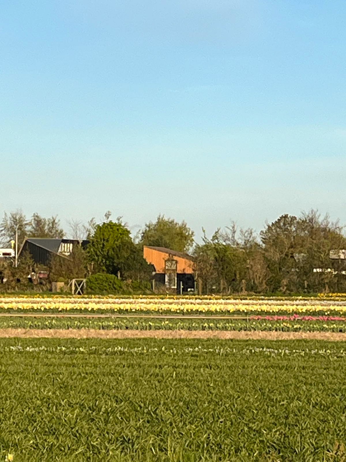 - image: 26