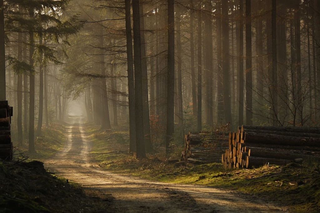 Natuurhuisje in Putten Koudhoorn
