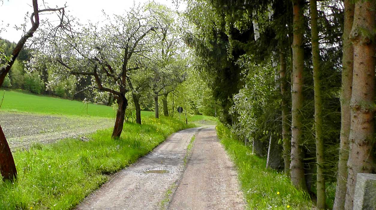 - image: 18
