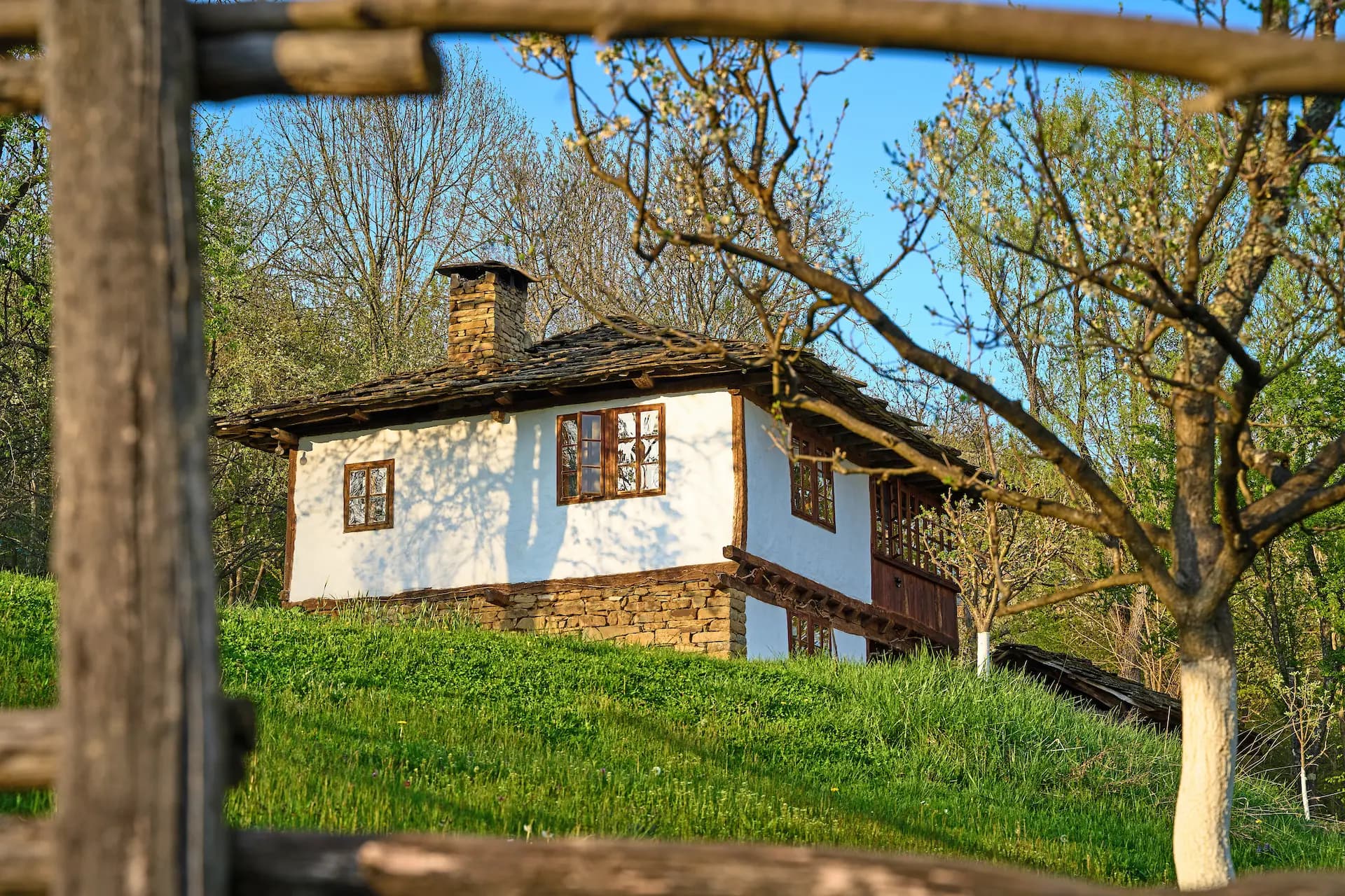 - image: 28