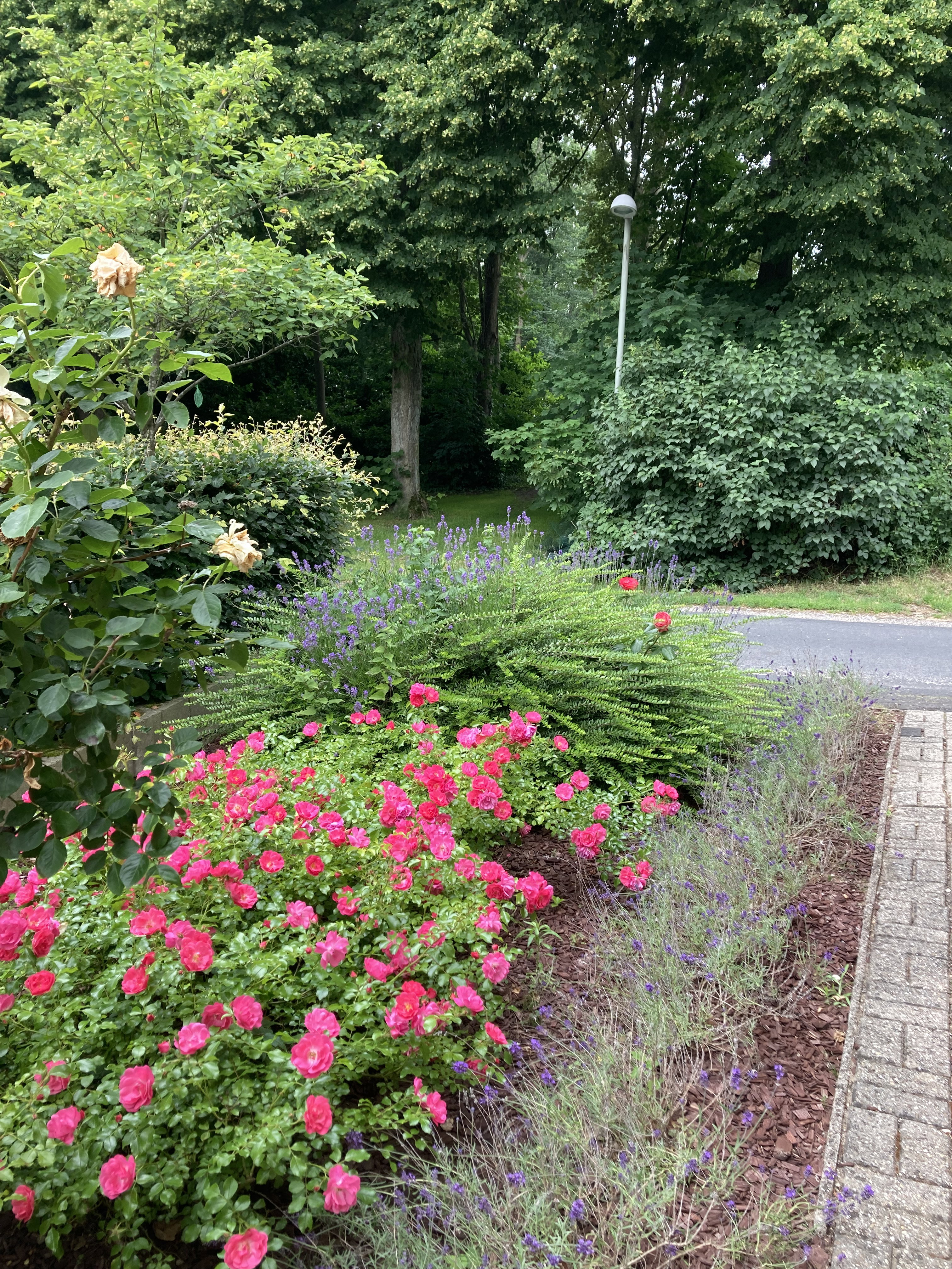 Natuurhuisje in Emmerich