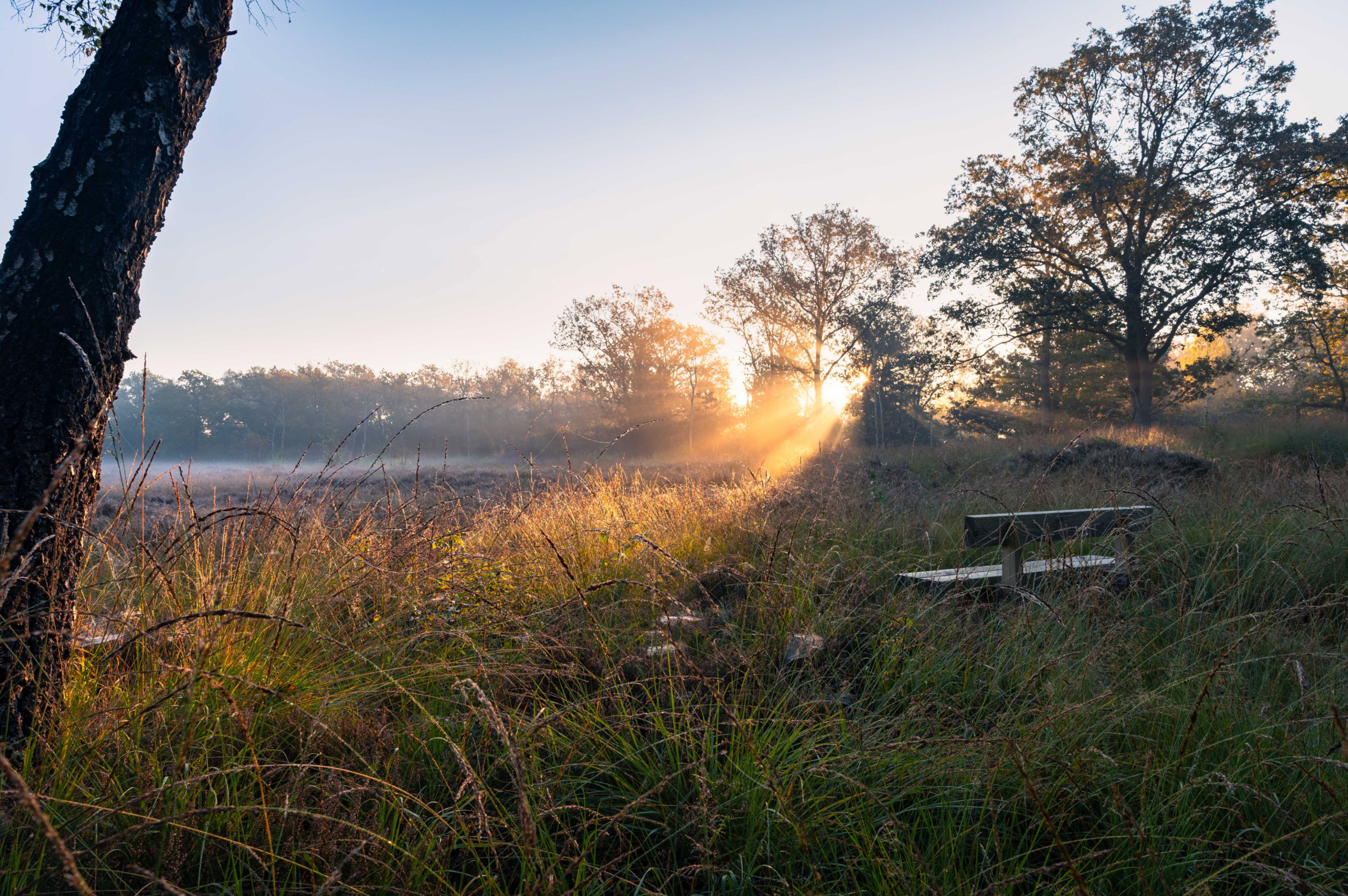 Naturhäuschen in Oudehorne