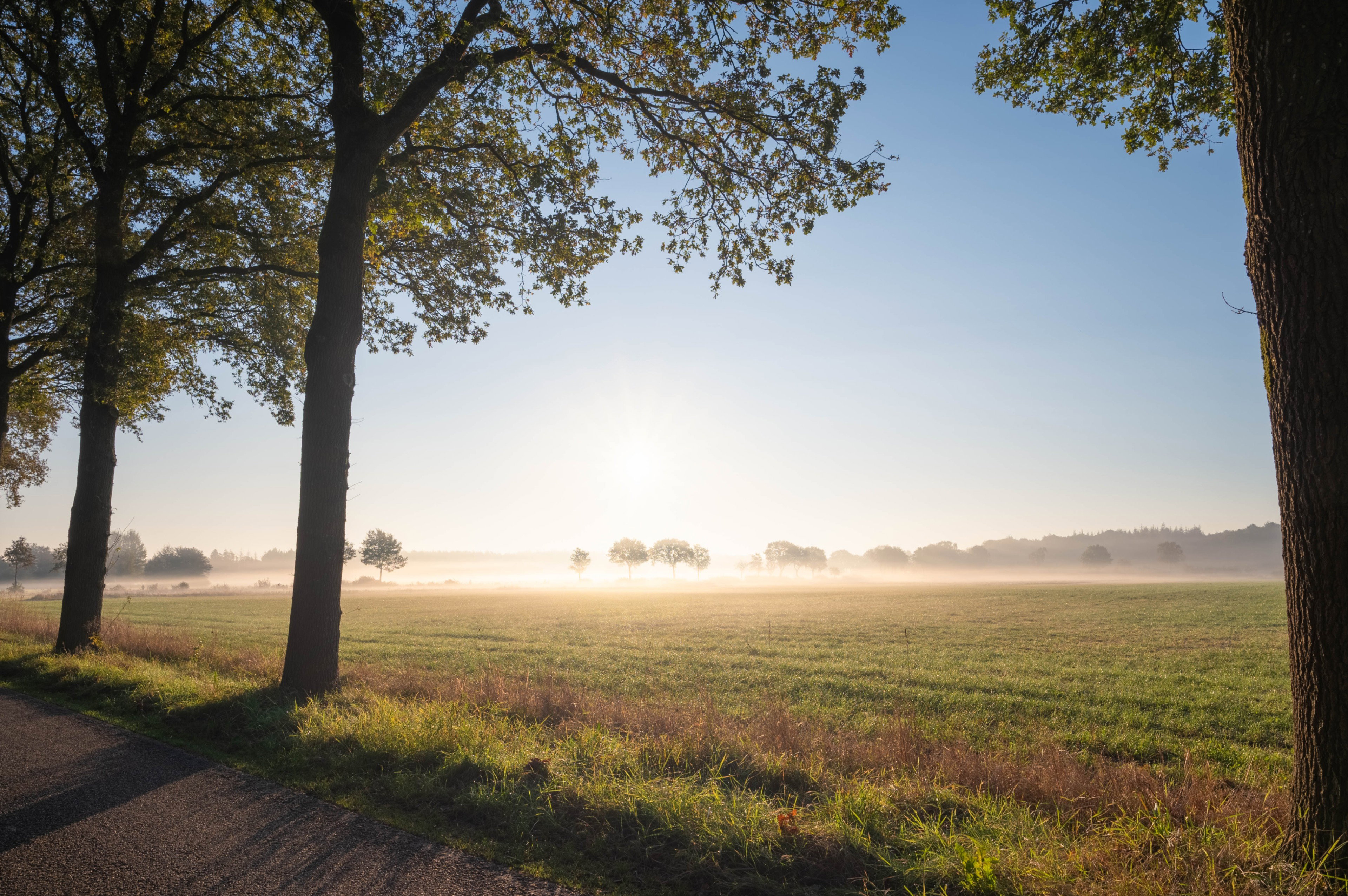 Naturhäuschen in Oudehorne