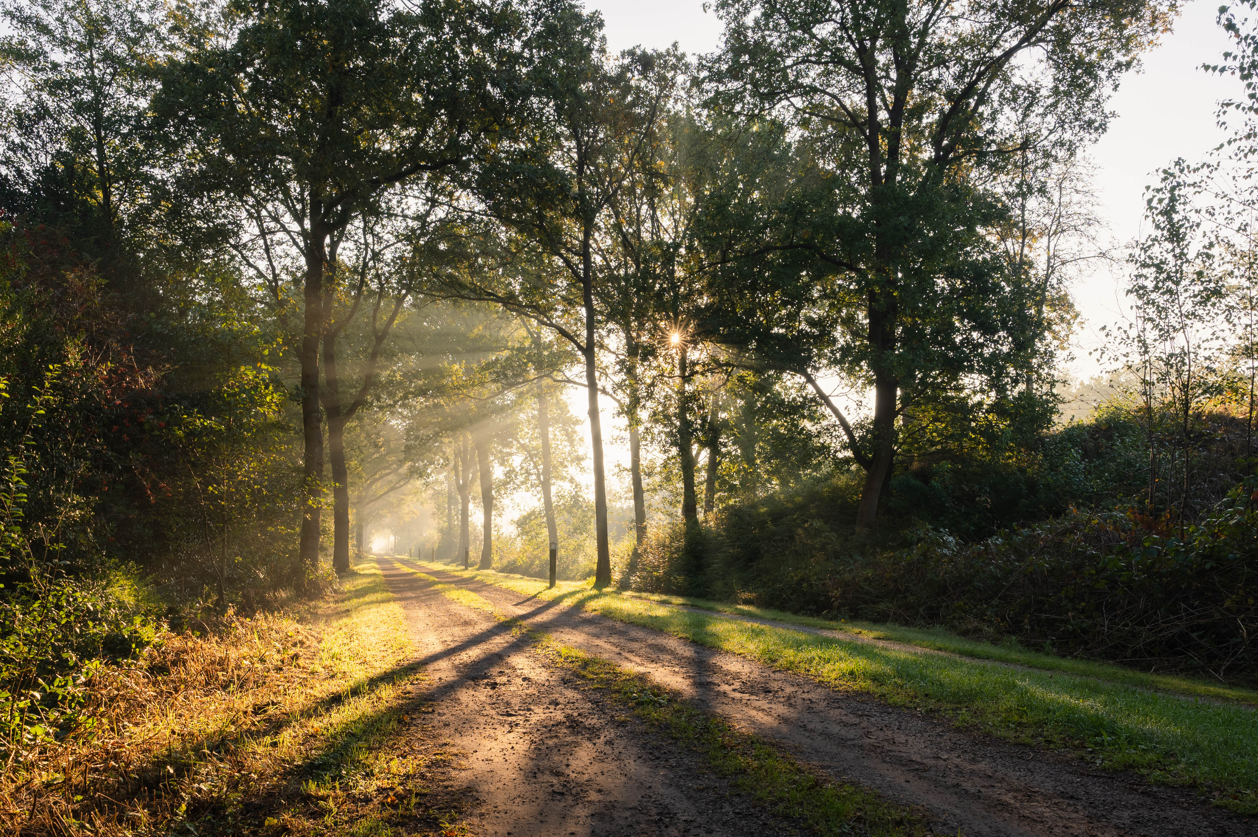 Naturhäuschen in Oudehorne