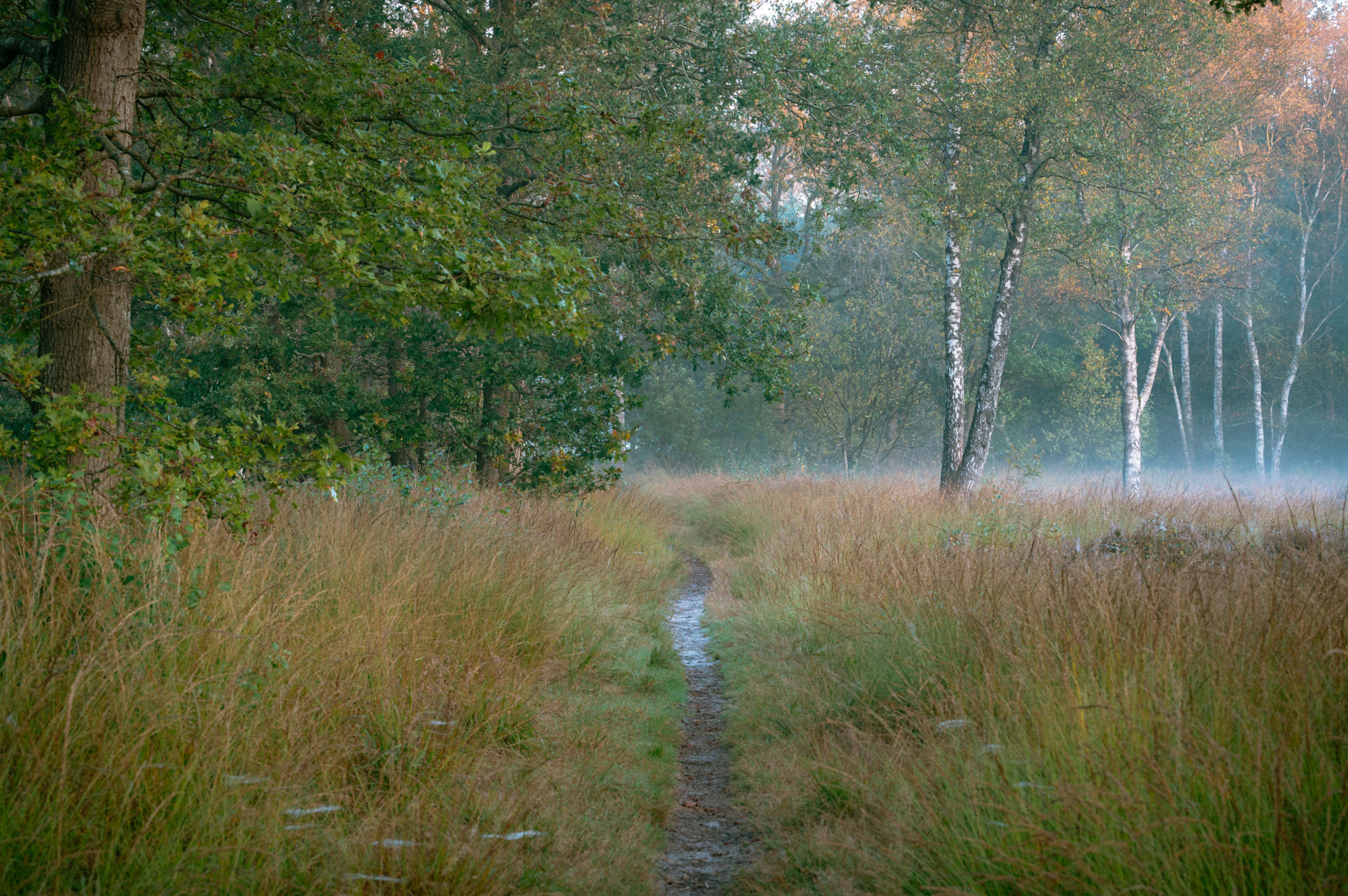 Naturhäuschen in Oudehorne